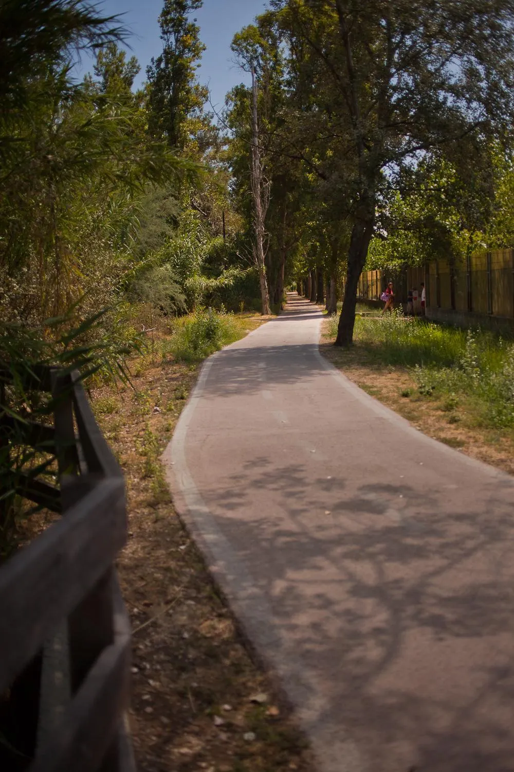 Other in Hotel Vittoria