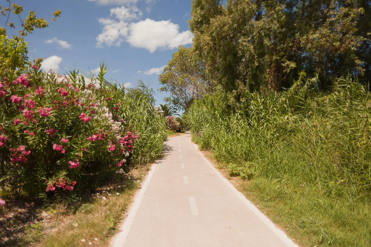 Other in Hotel Vittoria