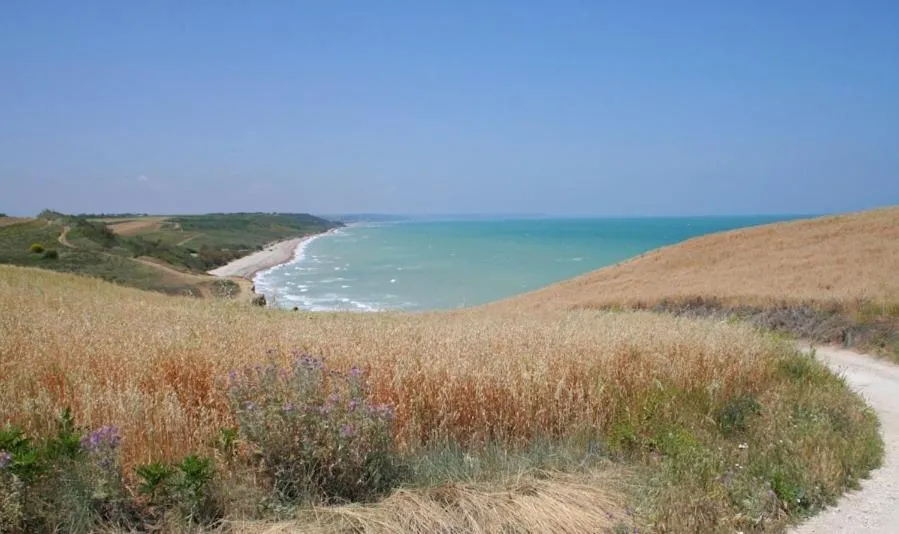 Beach in Hotel Vittoria