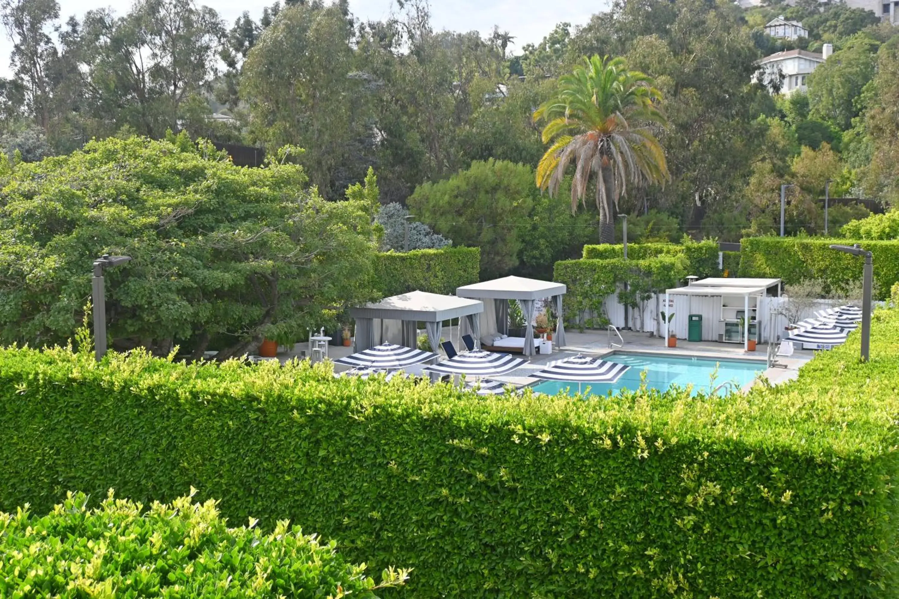 Swimming pool in Luxe Sunset Boulevard Hotel Swimming pool in Luxe Sunset Boulevard Hotel