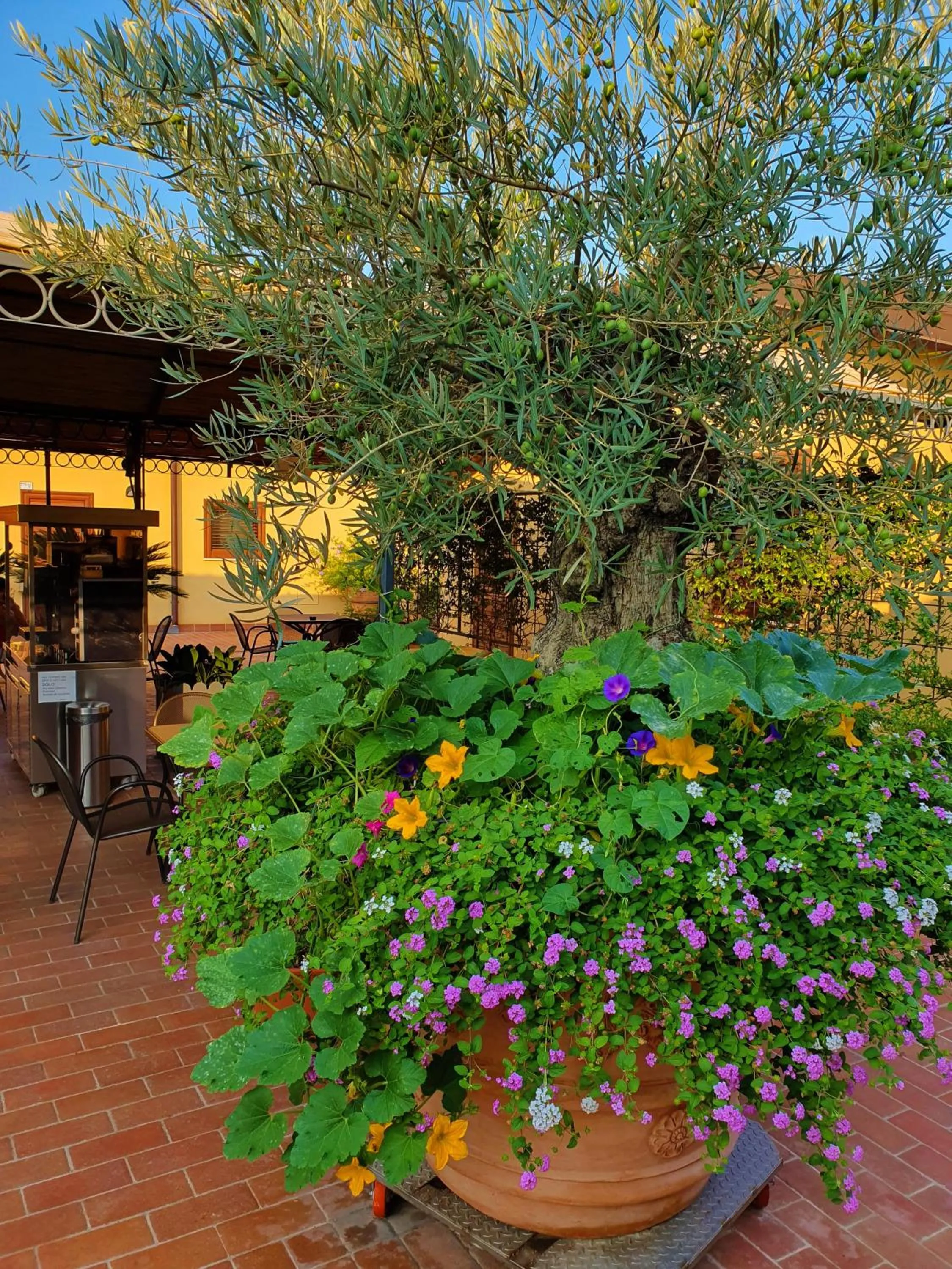"La Terrazza di Castiglione" APPARTAMENTI VACANZA