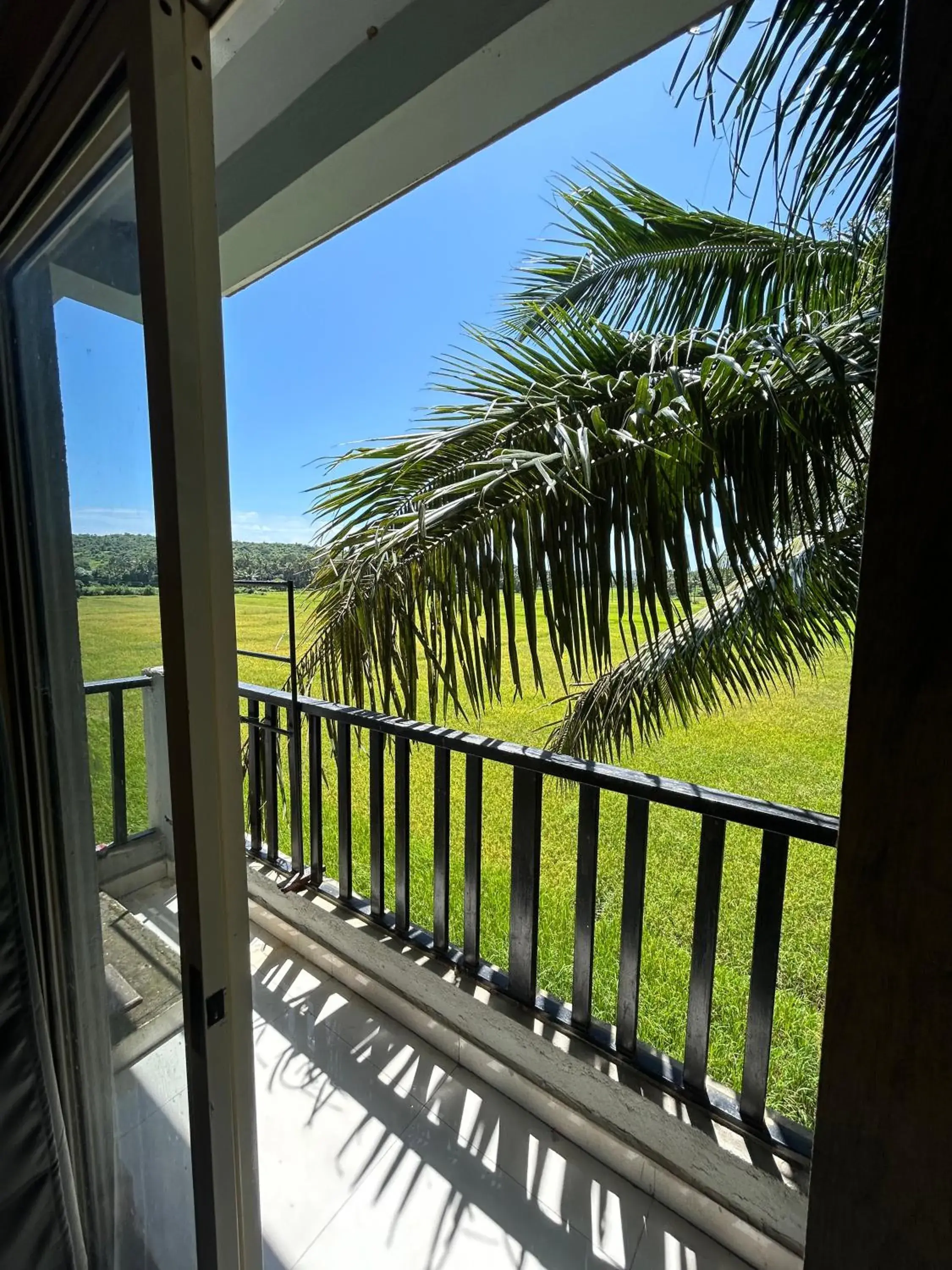 View (from property/room) in Shivam Bnb Mandrem Resort View (from property/room) in Shivam Bnb Mandrem Resort