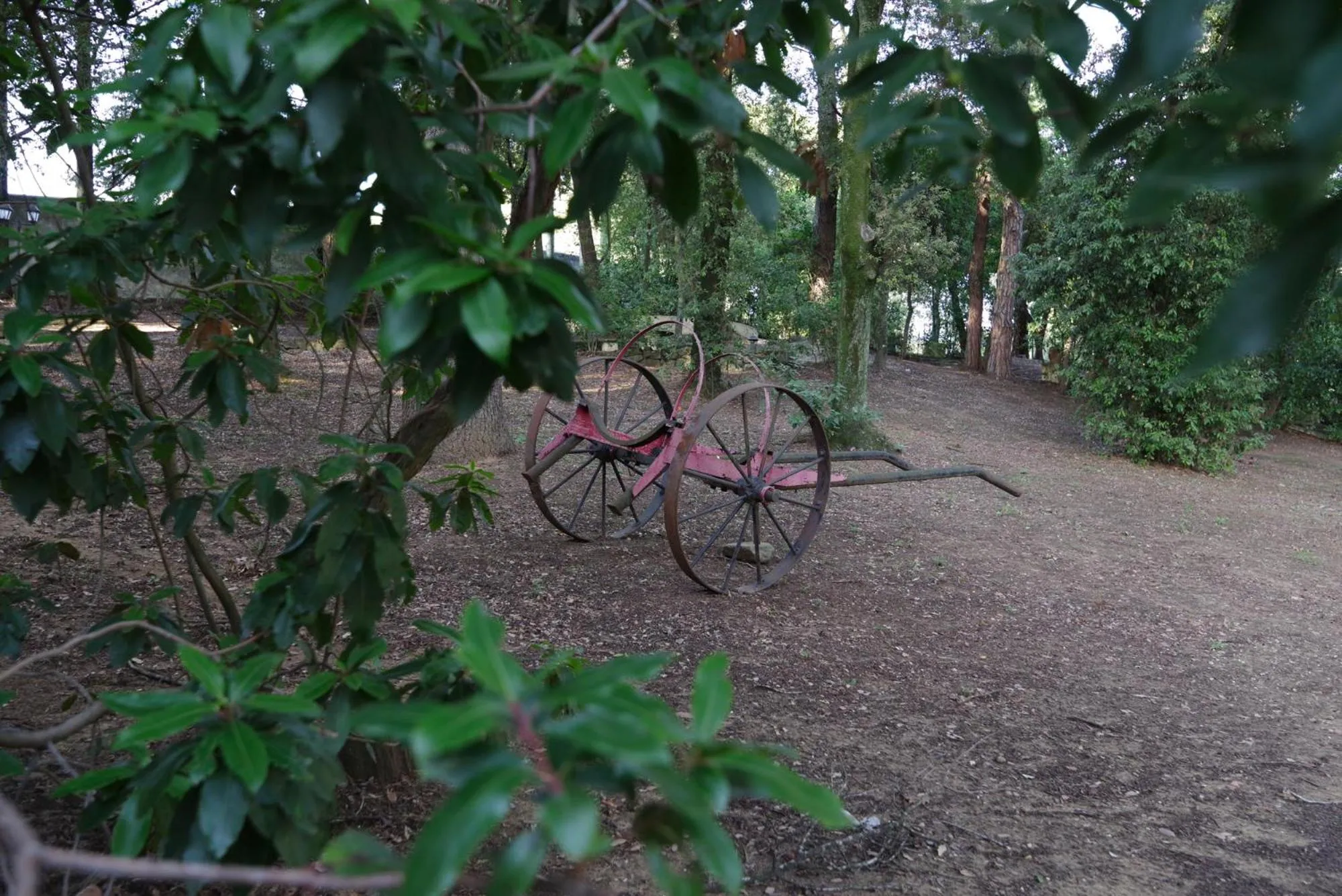 Garden in Villa del Parco in Tuscany