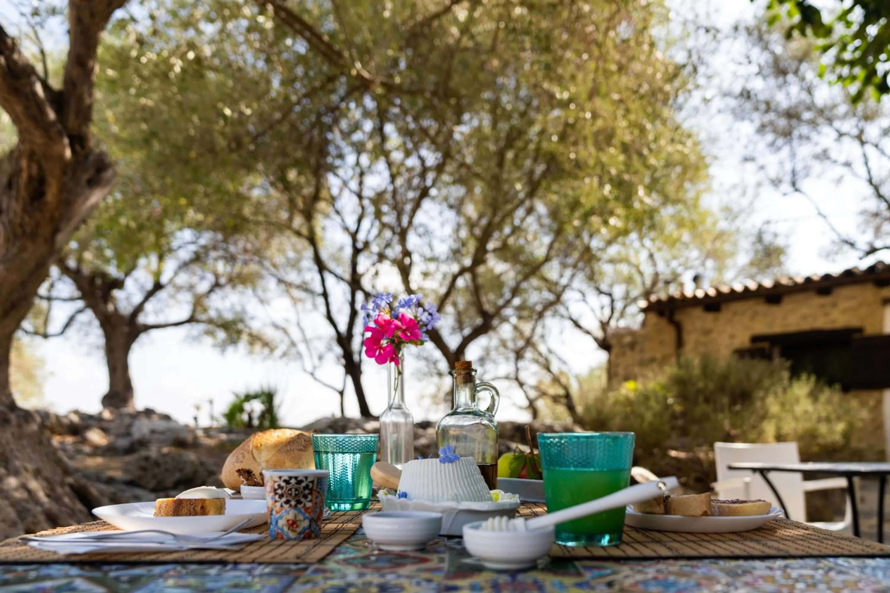 Breakfast in Roba Degli Ulivi