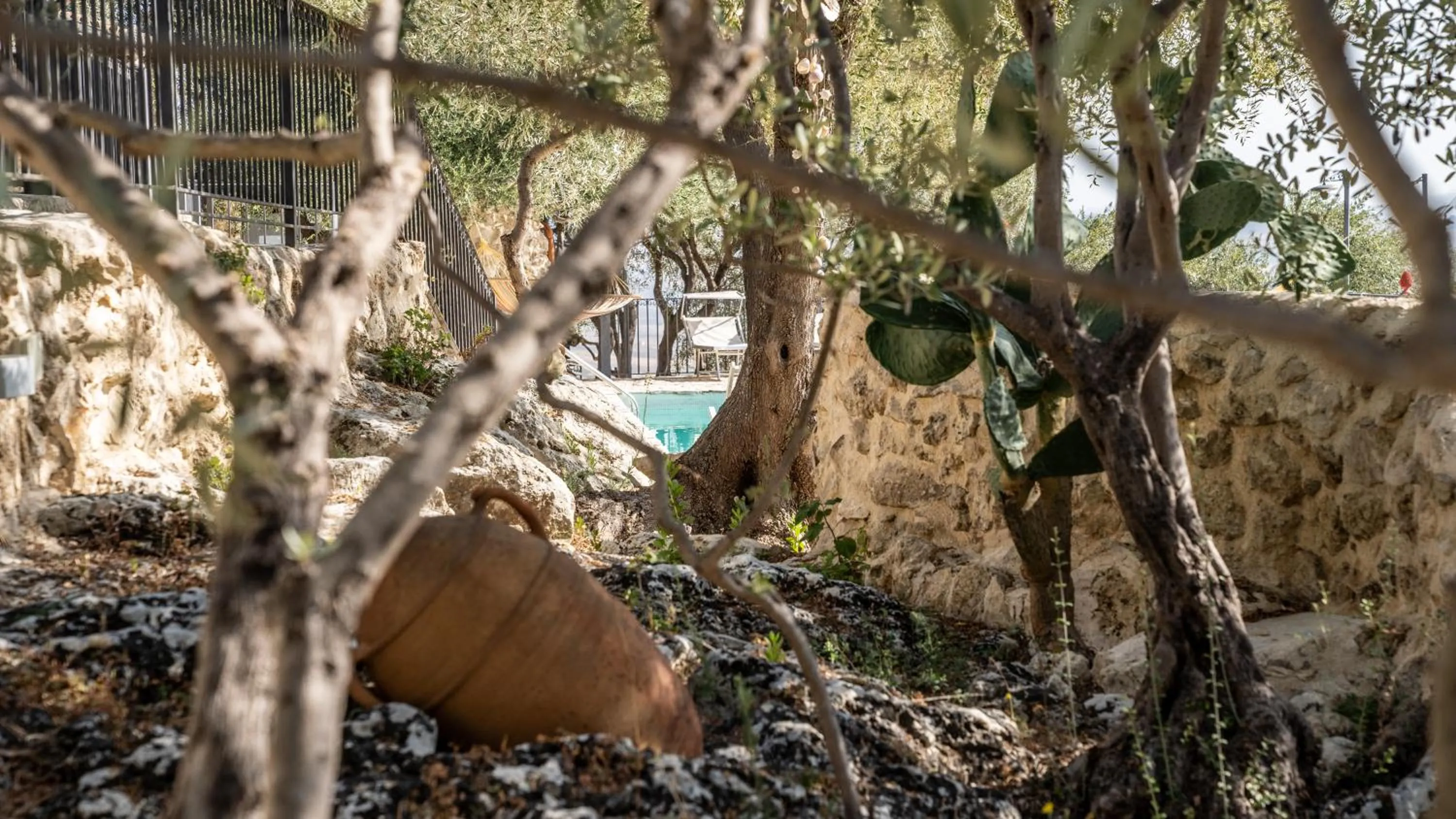 Garden in Roba Degli Ulivi
