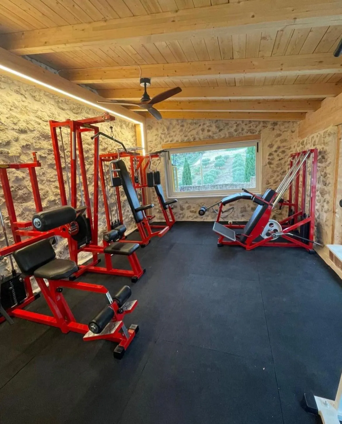 Fitness centre/facilities in Roba Degli Ulivi