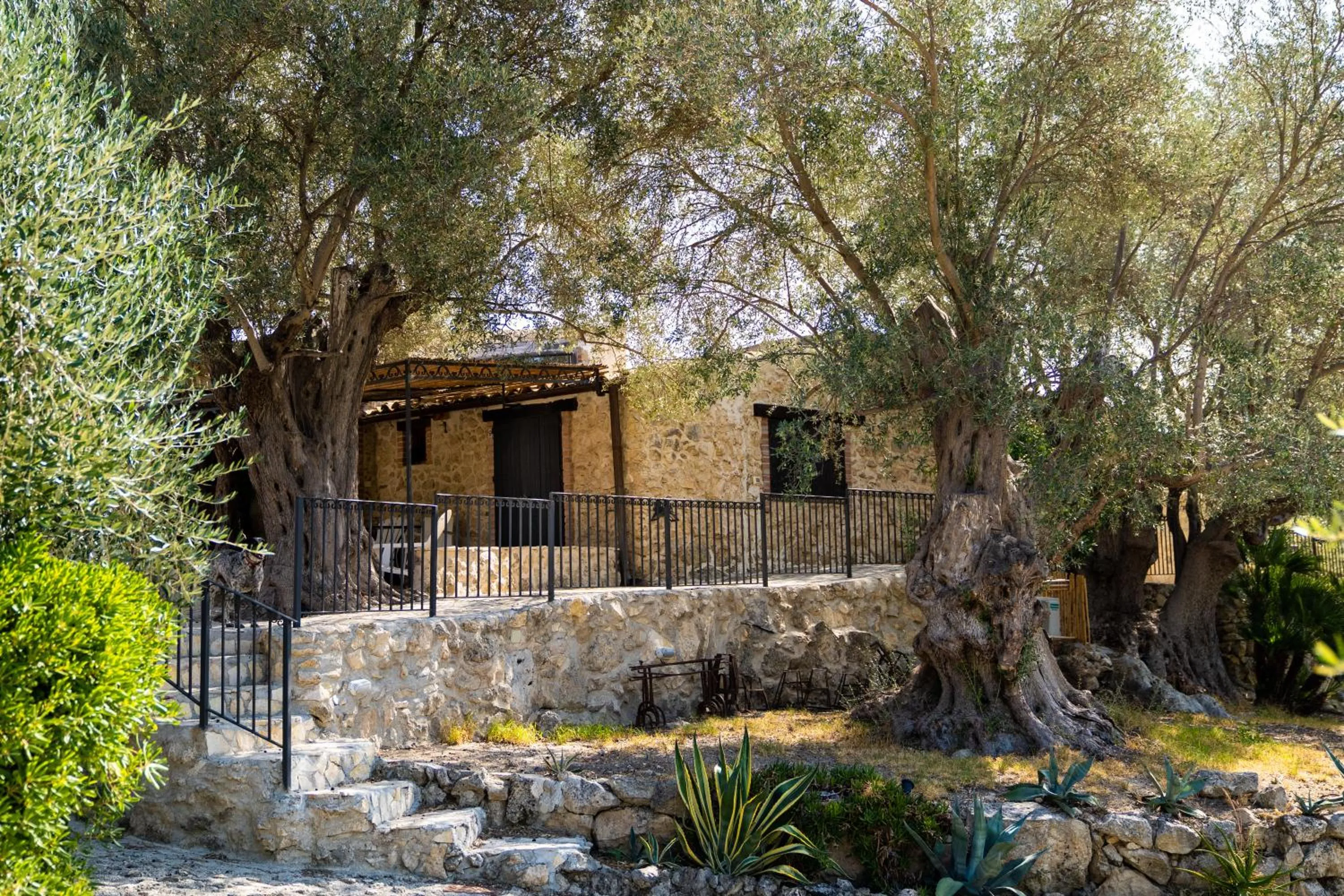 Garden view in Roba Degli Ulivi