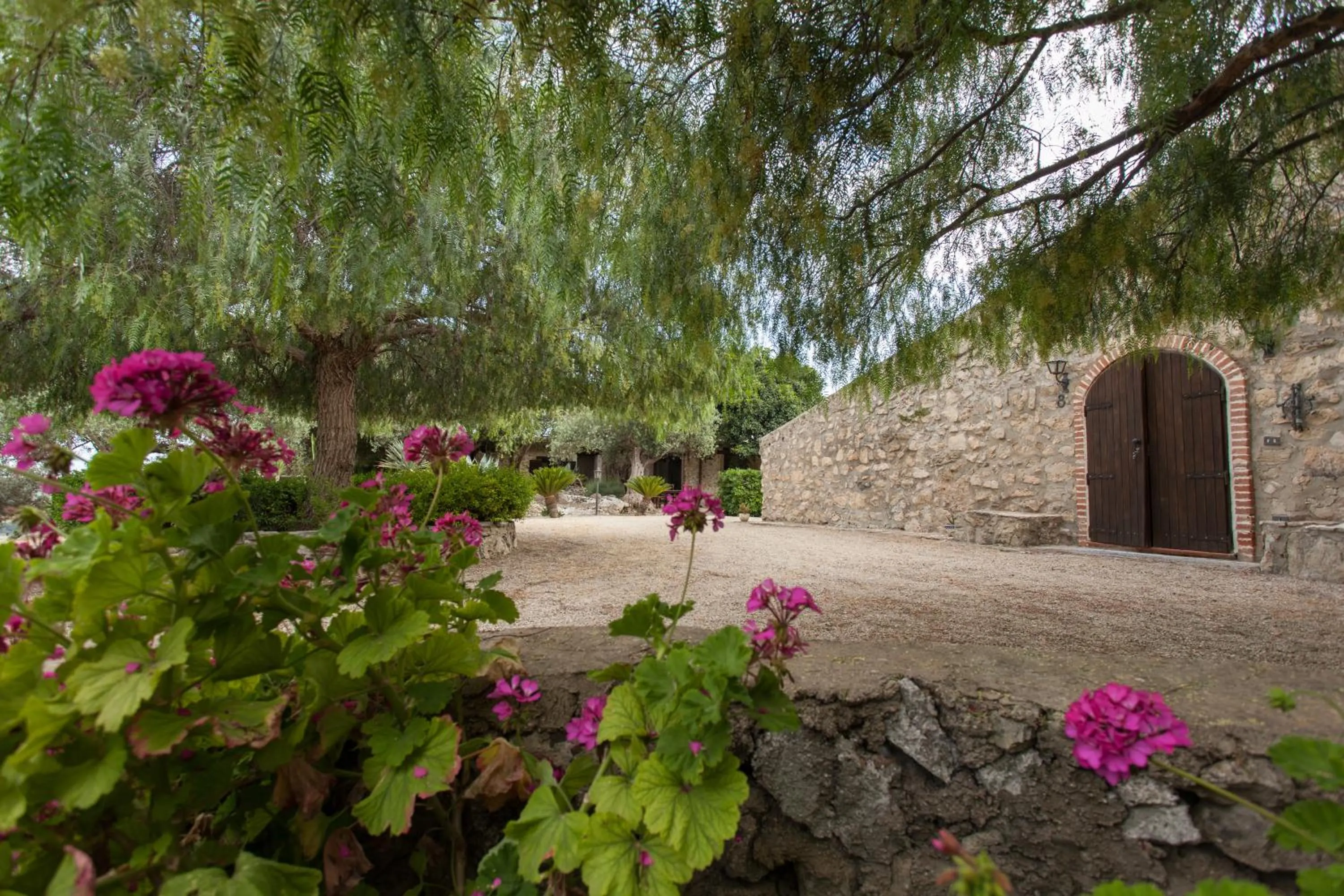 Garden view in Roba Degli Ulivi