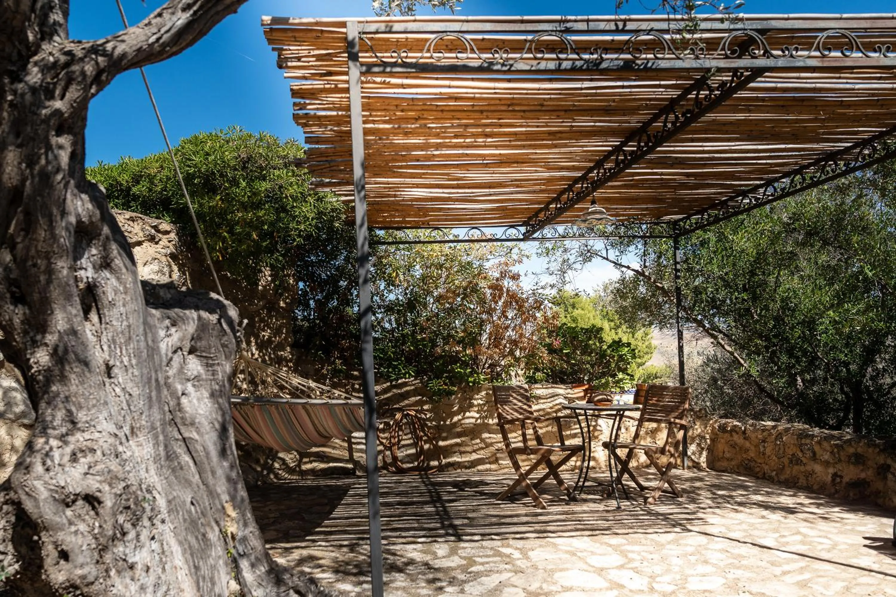 Balcony/Terrace in Roba Degli Ulivi
