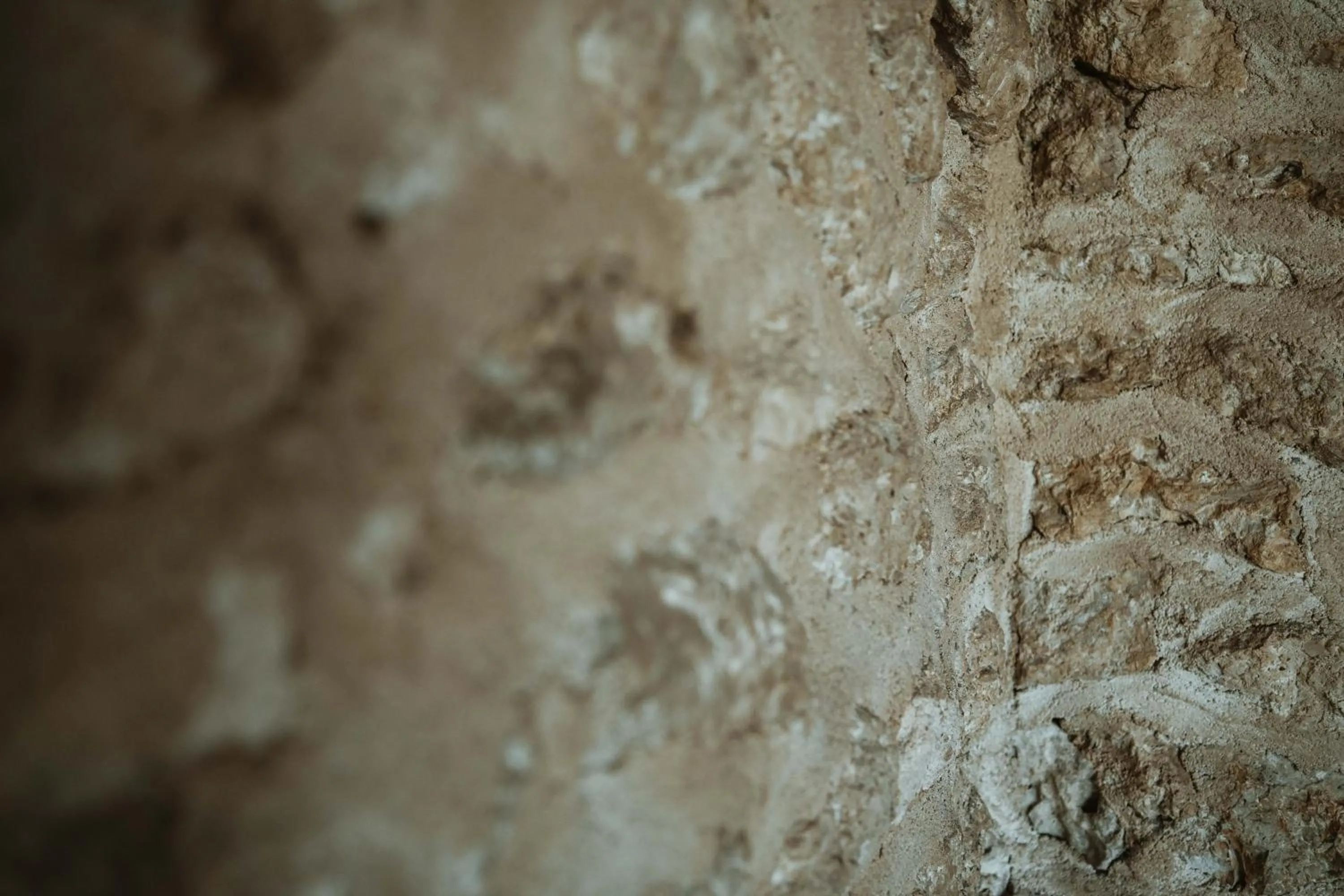 Decorative detail in Roba Degli Ulivi