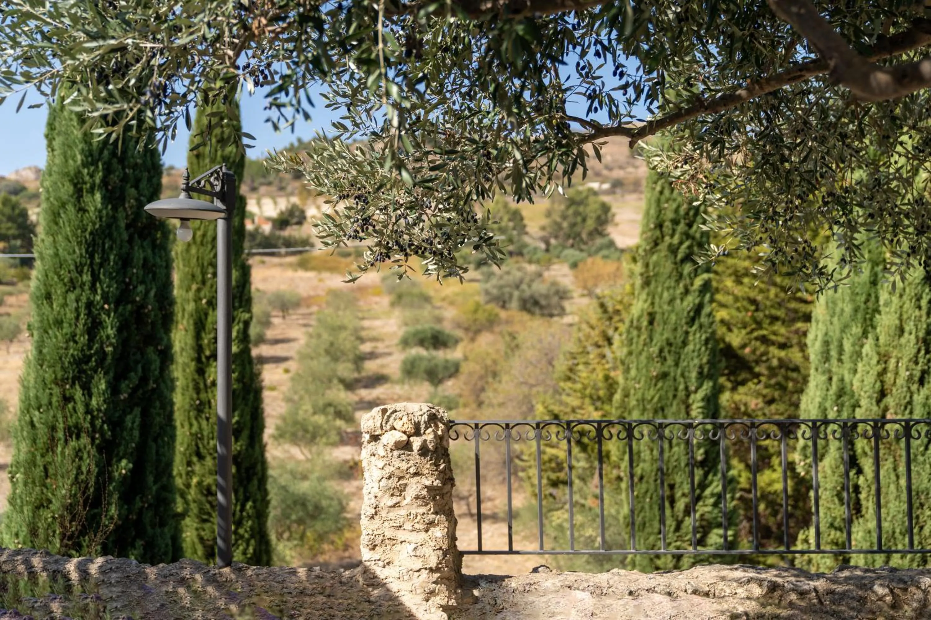 Natural landscape in Roba Degli Ulivi