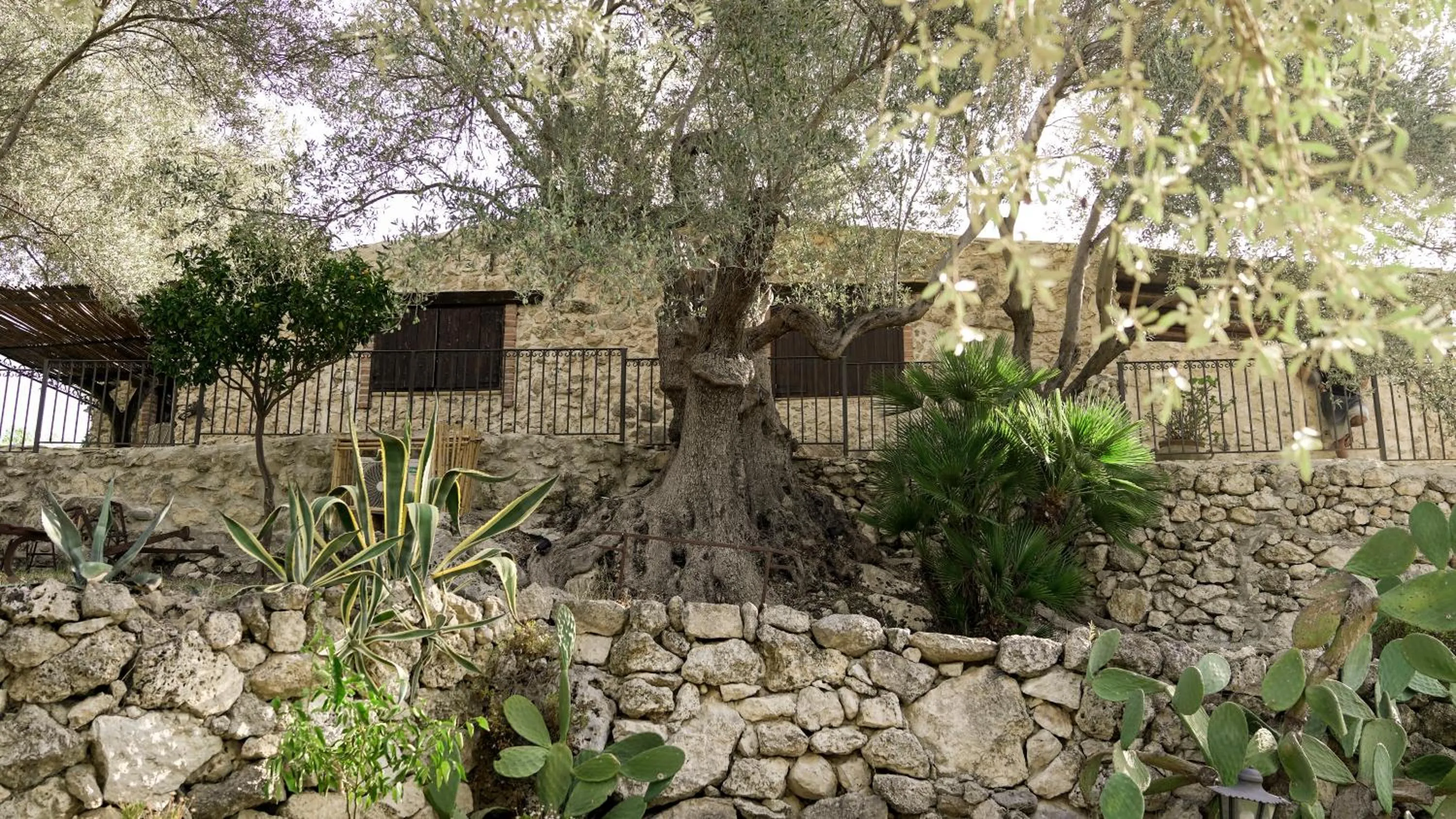 Garden view in Roba Degli Ulivi