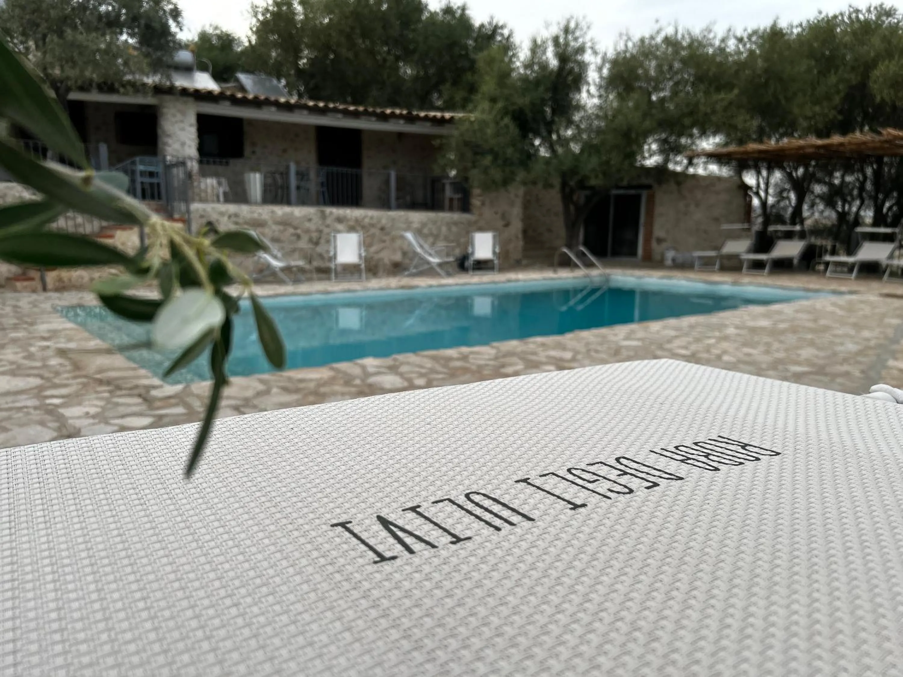 Swimming pool in Roba Degli Ulivi