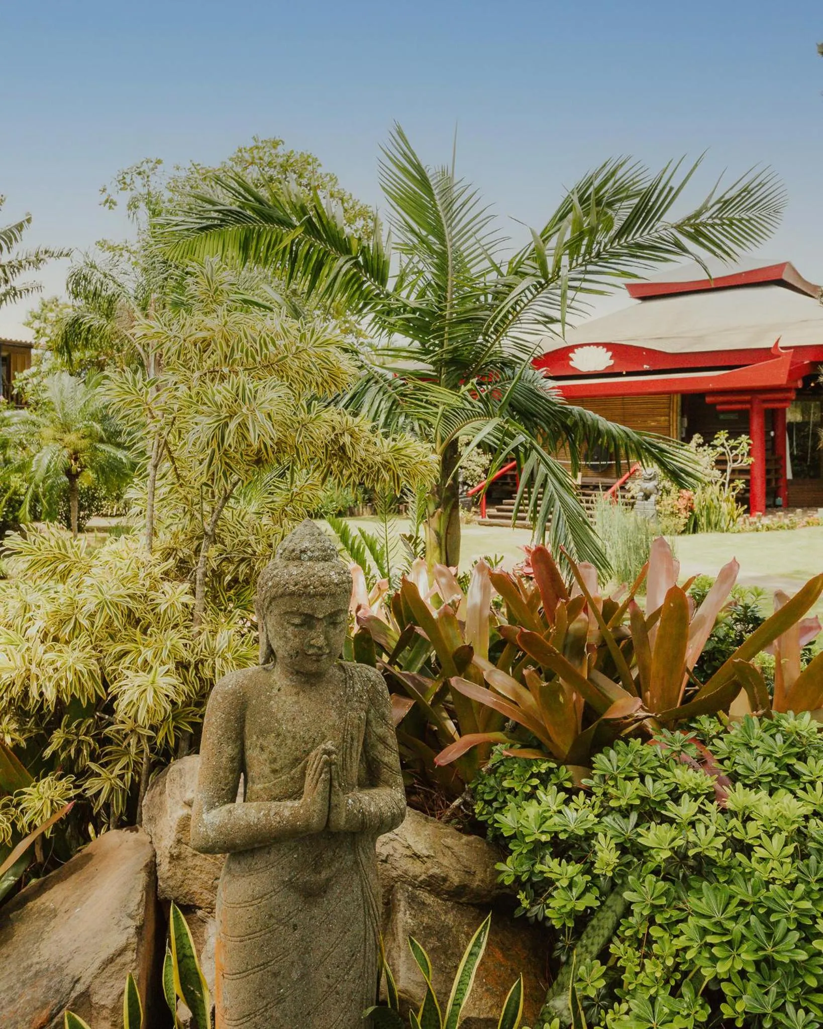 Garden in Pousada Mevlana Garden