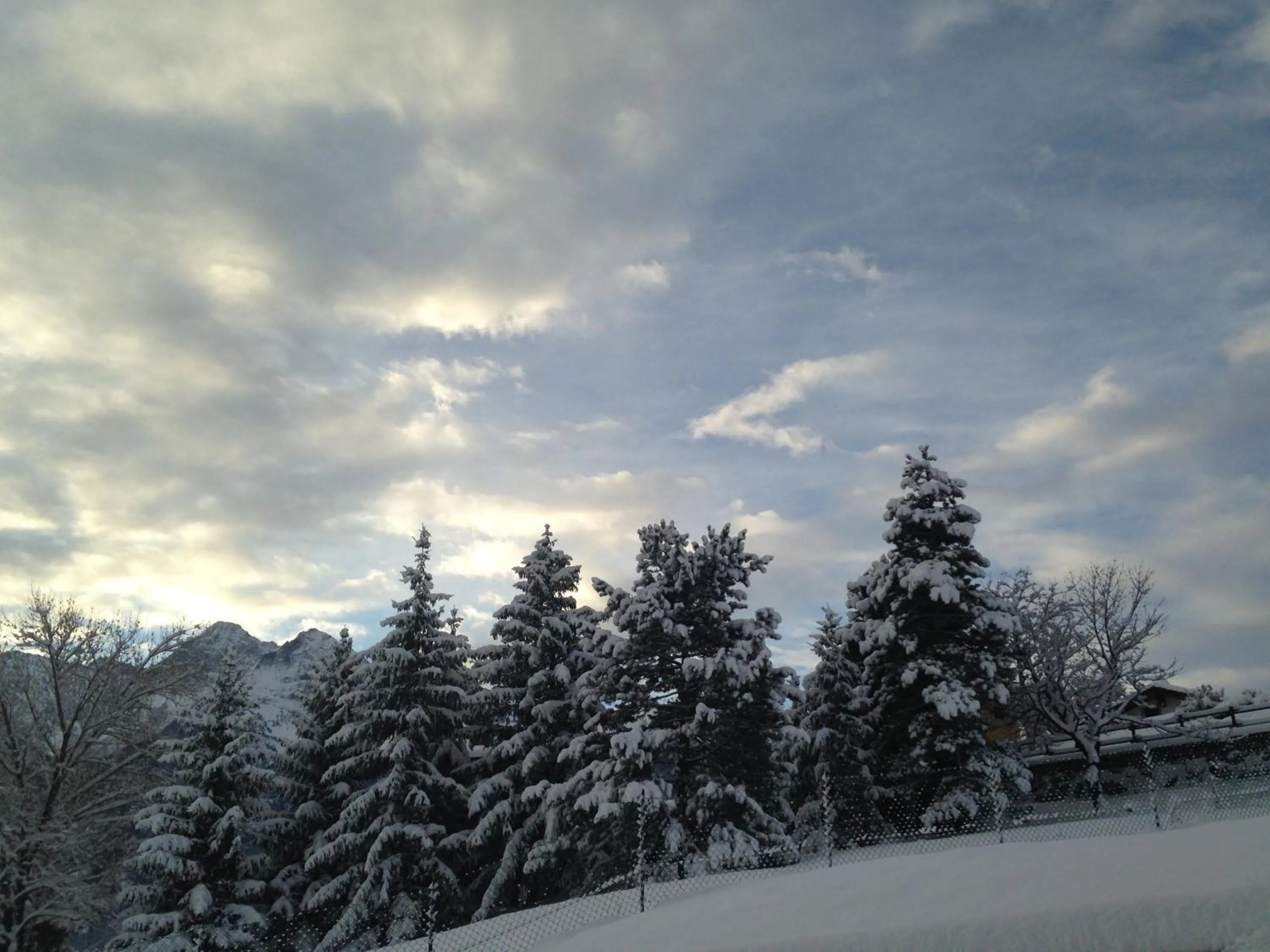 Garden in B&B Ambrosia