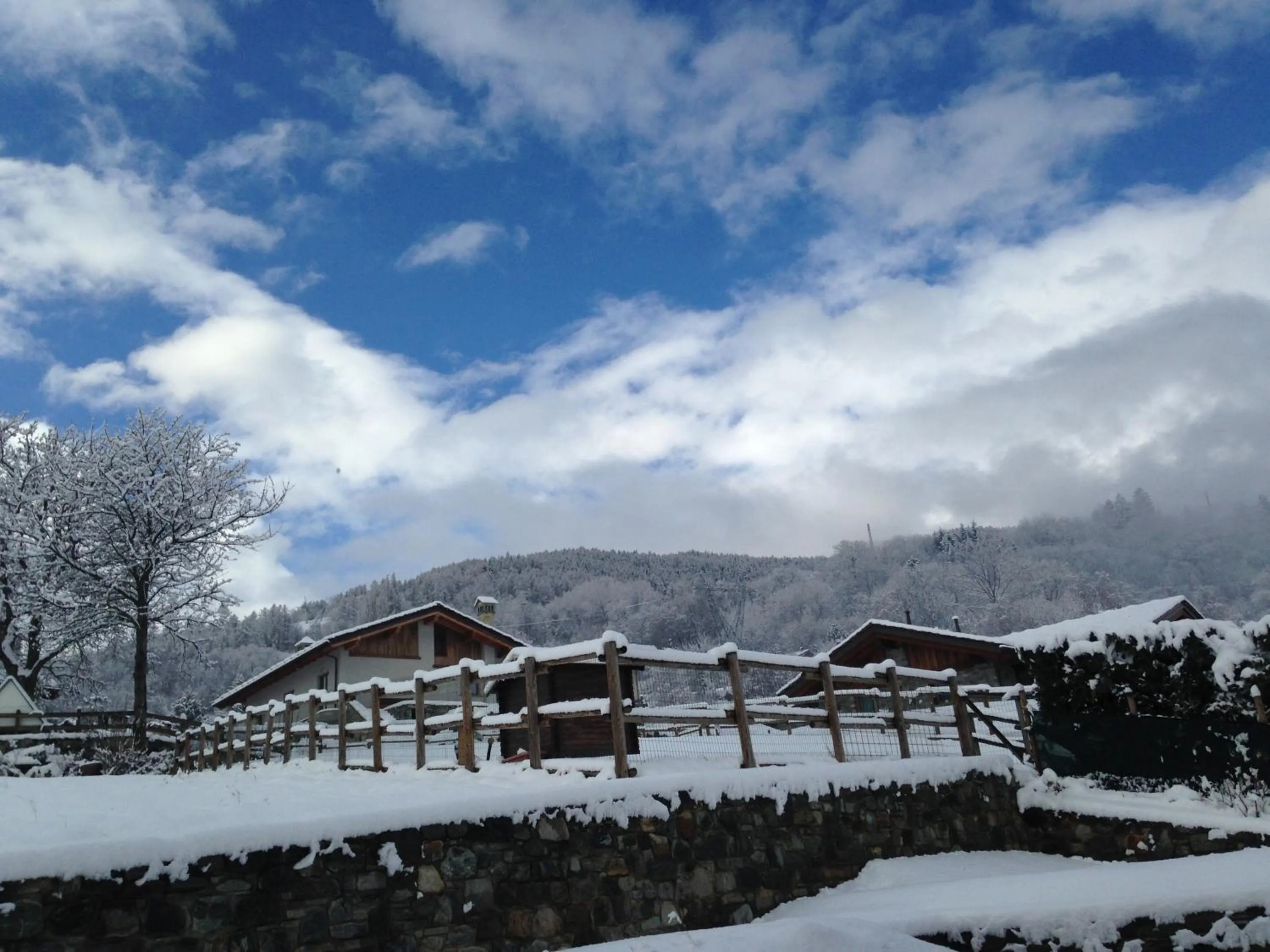 Winter in B&B Ambrosia