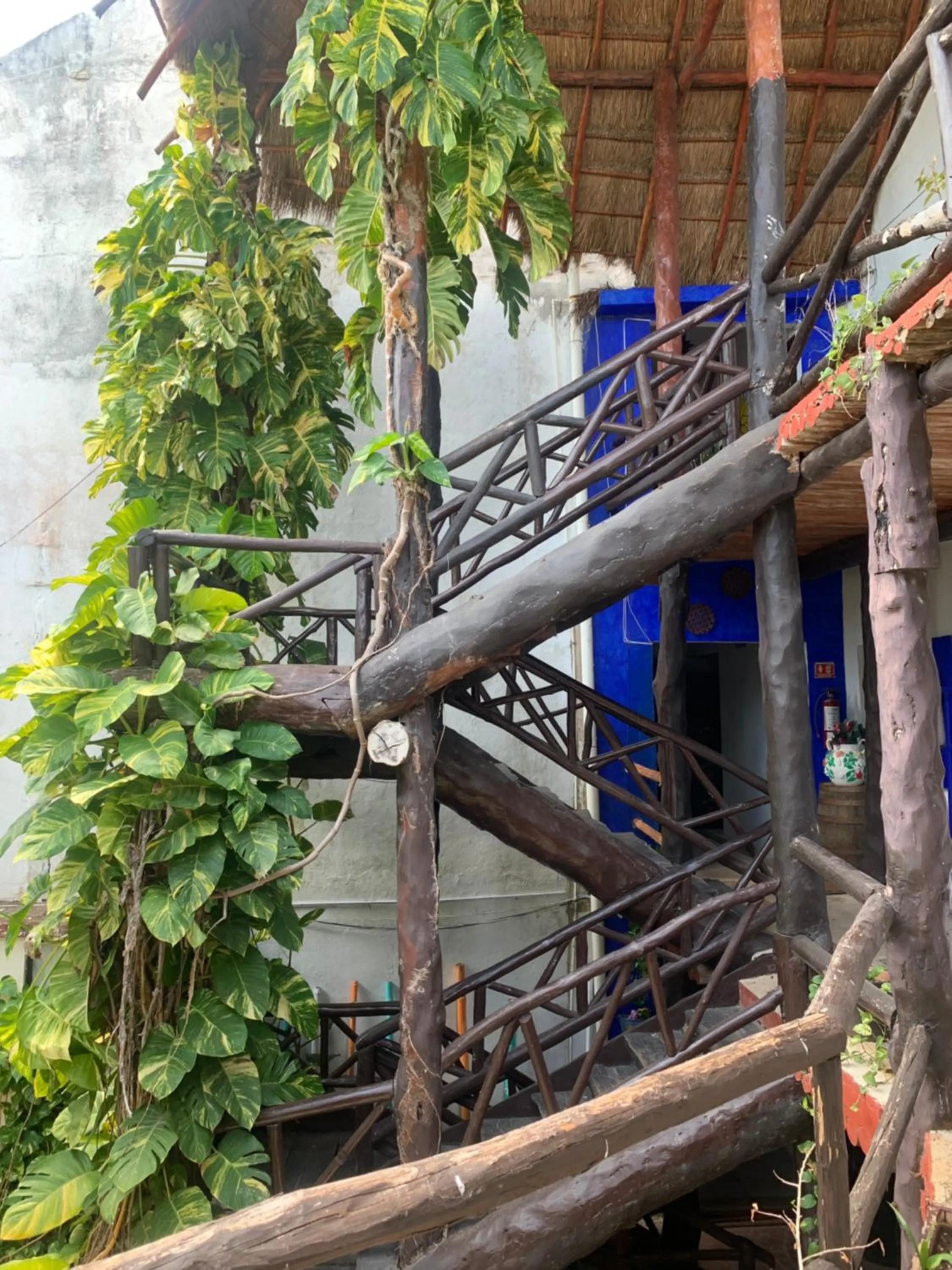Garden view in Casa CARIBE Cancun
