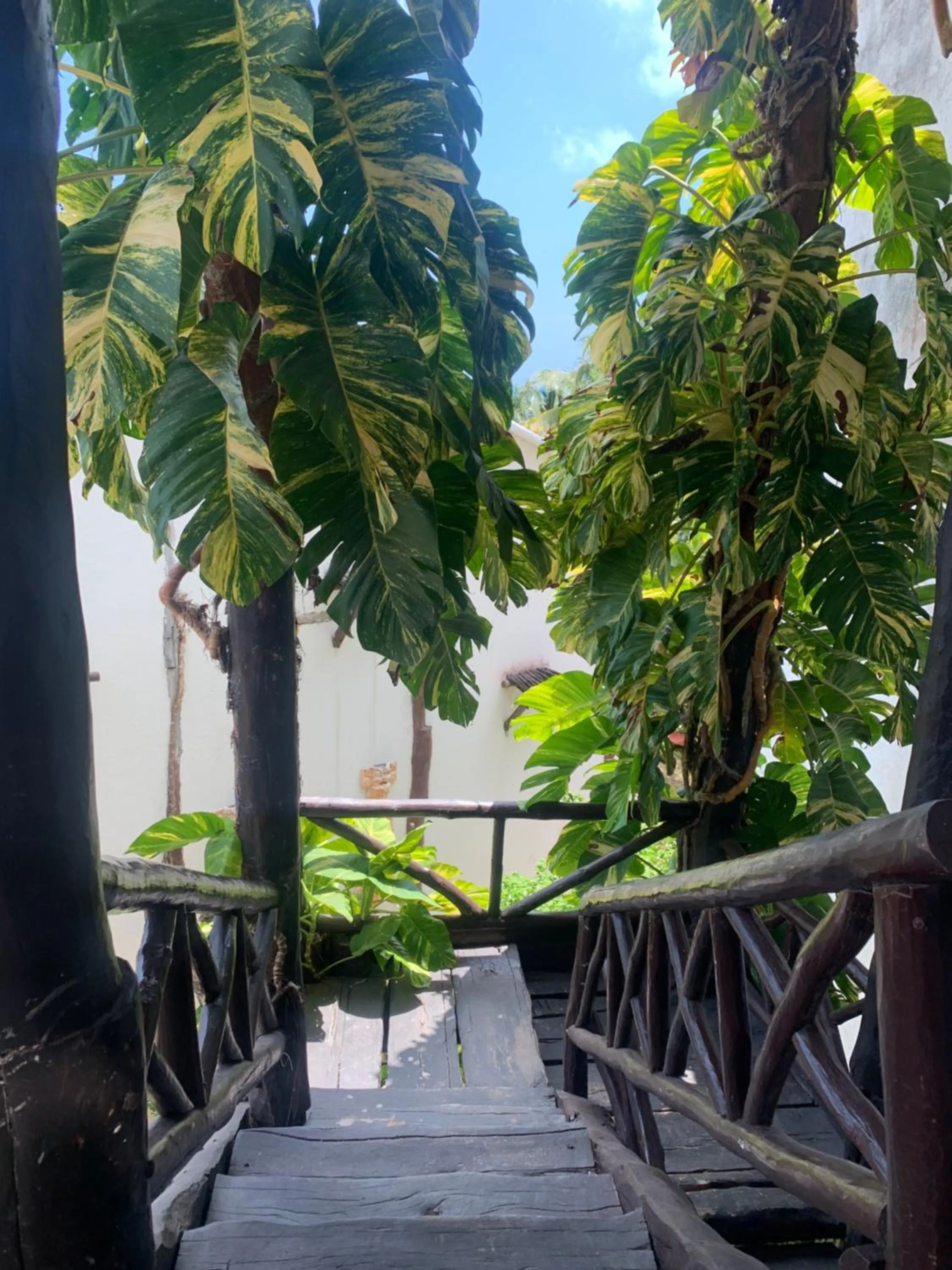 Garden view in Casa CARIBE Cancun