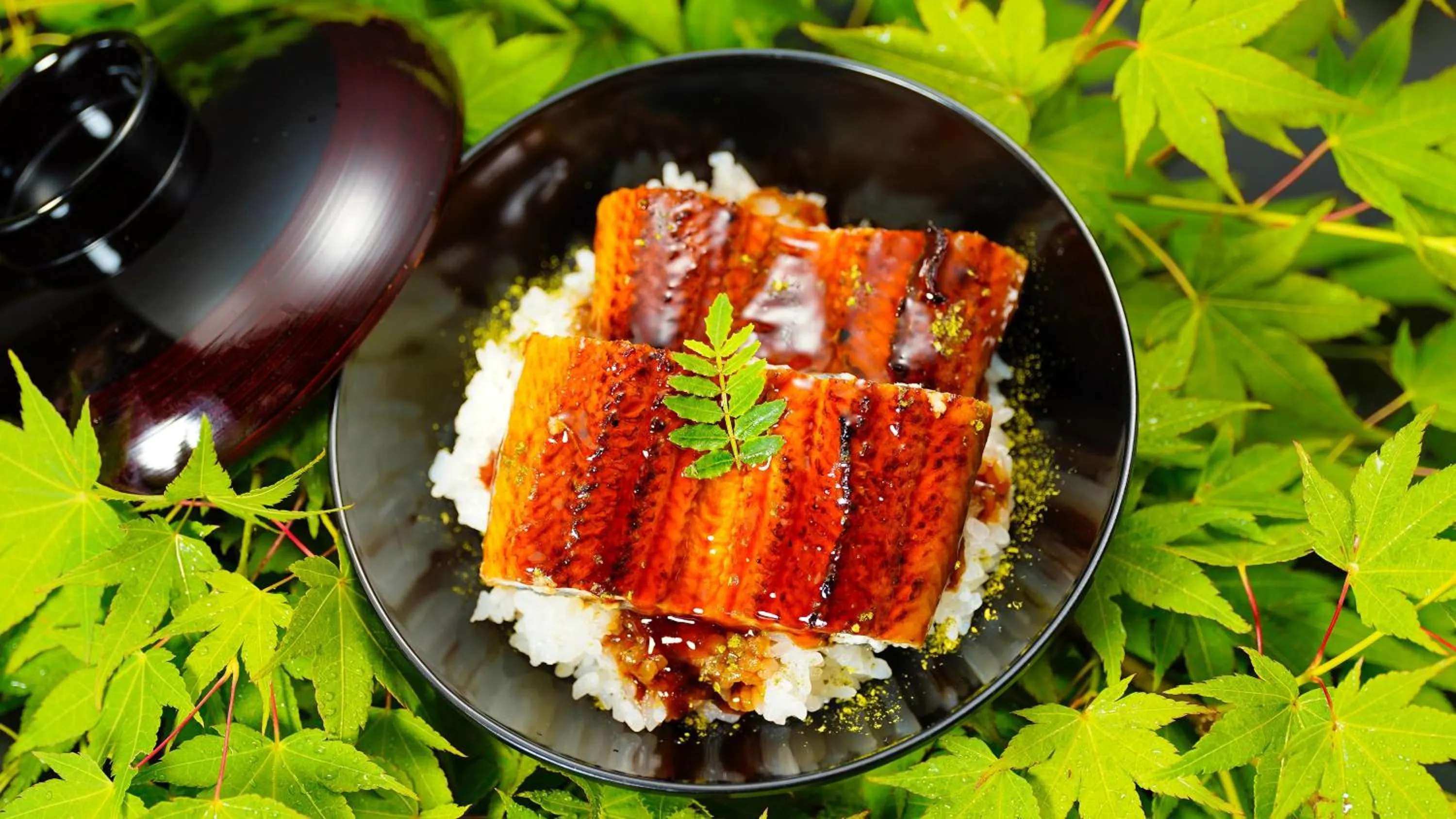 Food in Sasakura onsen Ryuunso