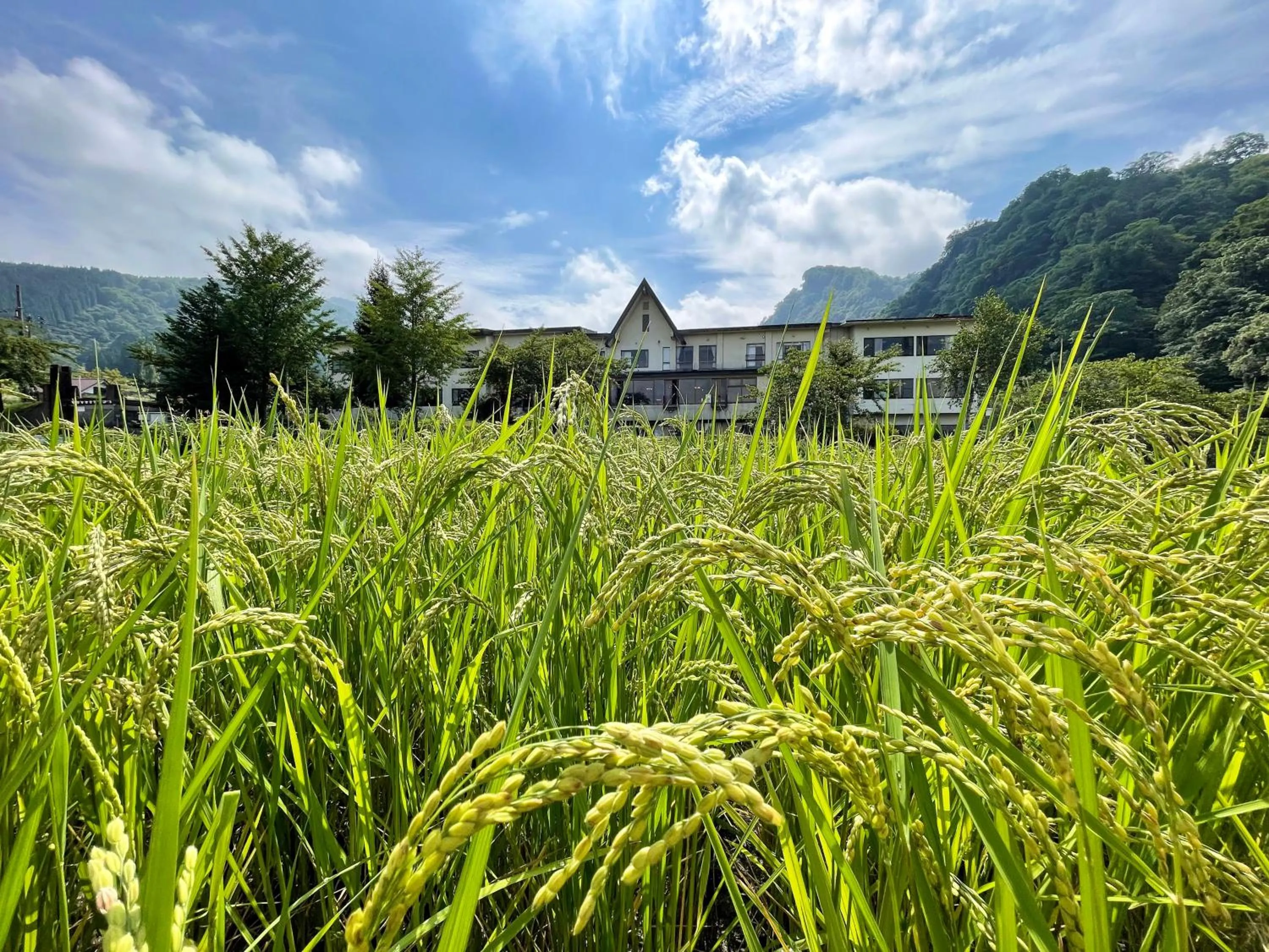 Sasakura onsen Ryuunso