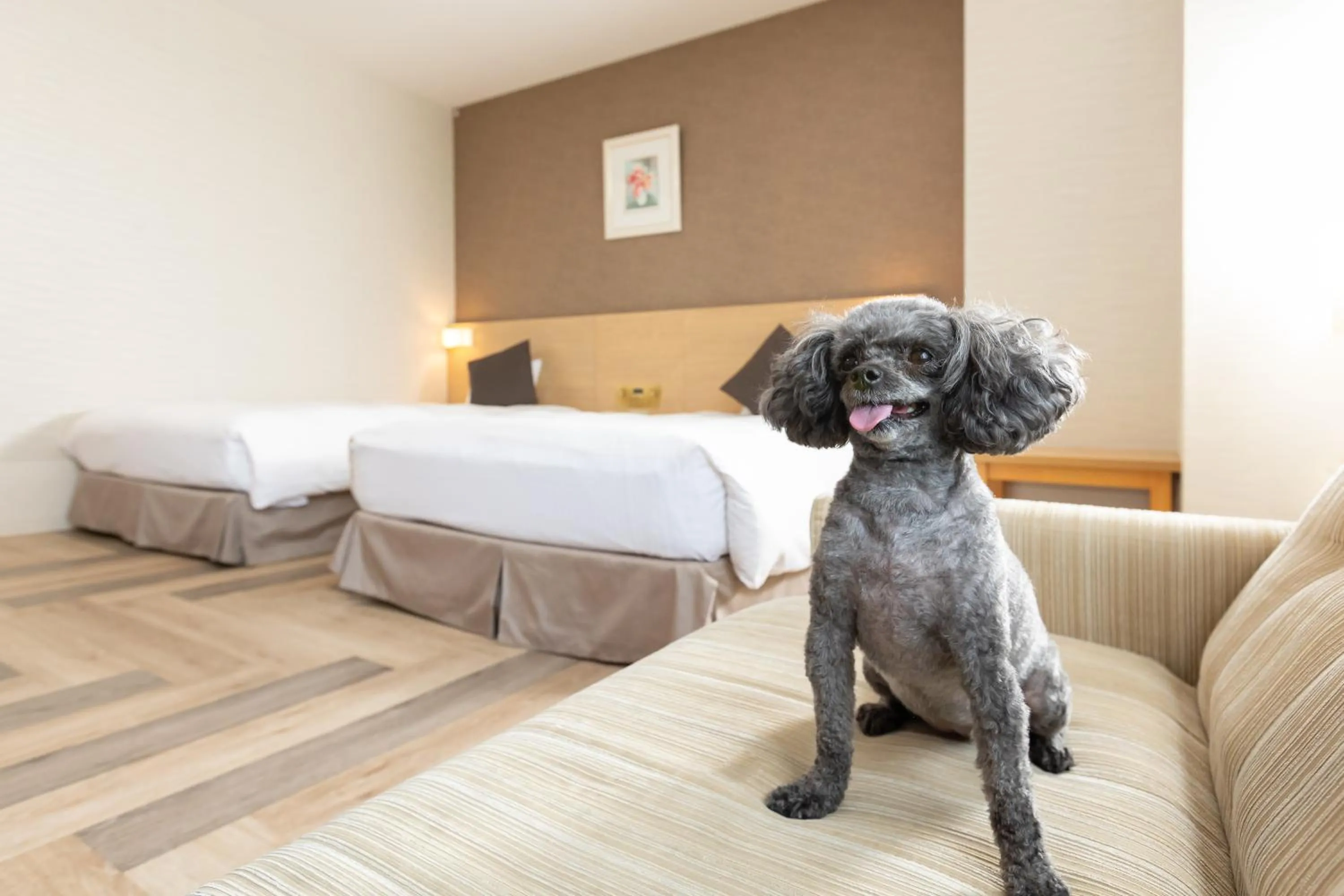 Animals, Bed in KAMENOI HOTEL Chitamihama