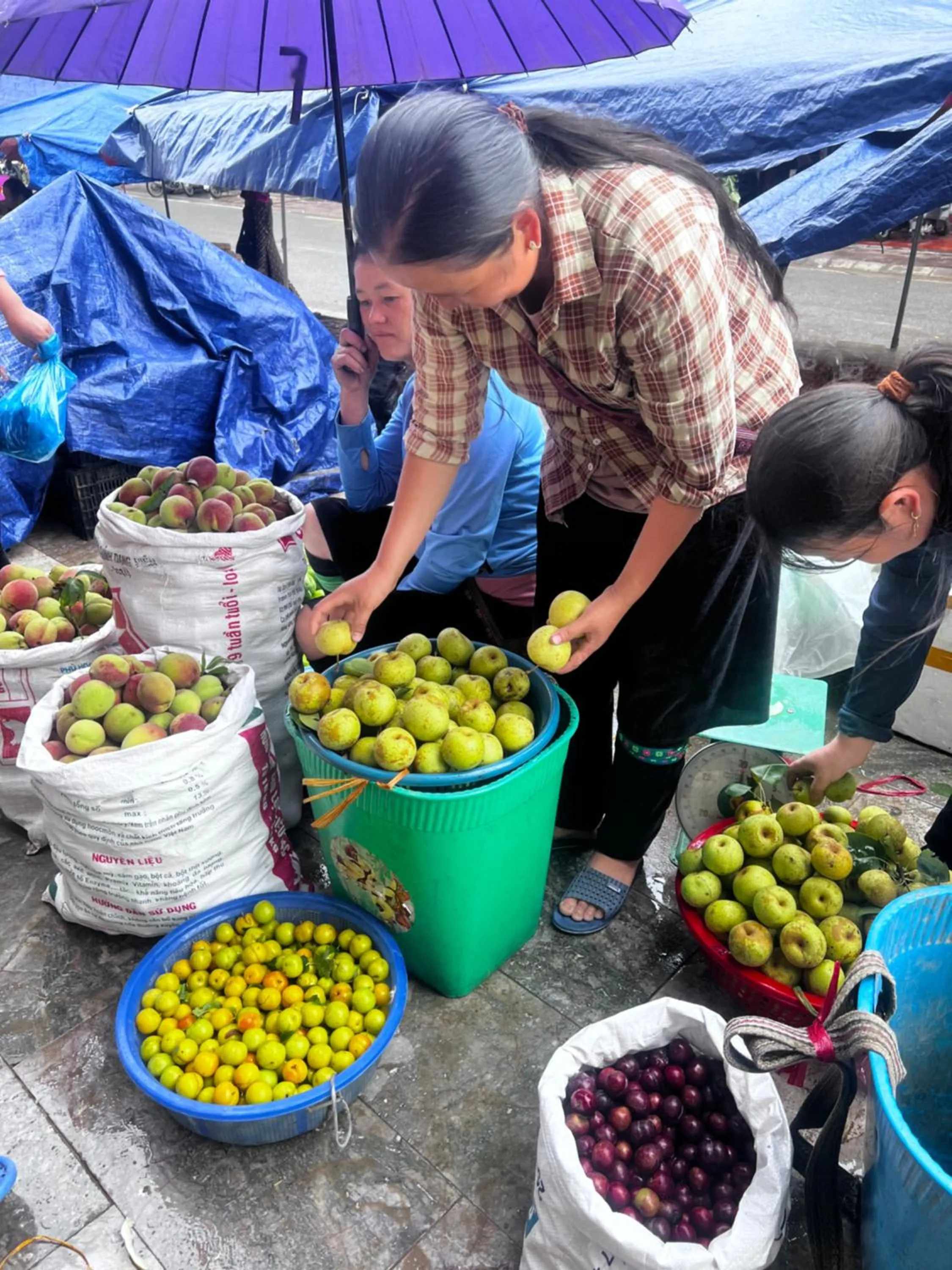 People in SAPA FULL HOUSE HOTEL