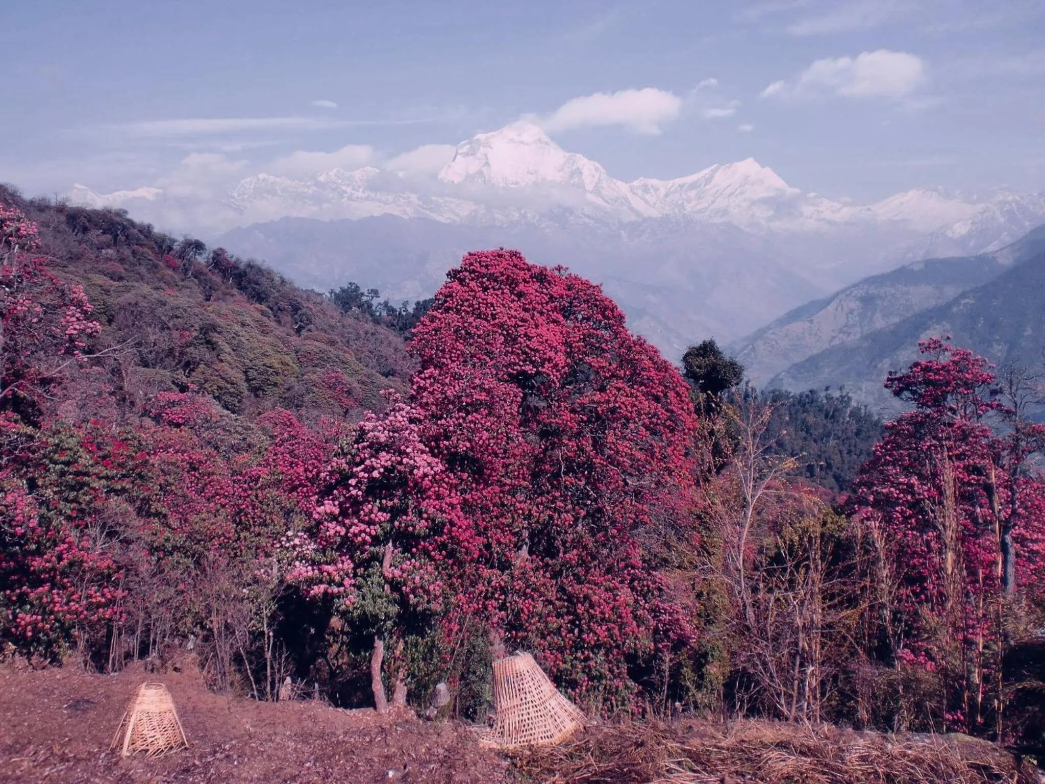 Hotel Annapurna View Sarangkot