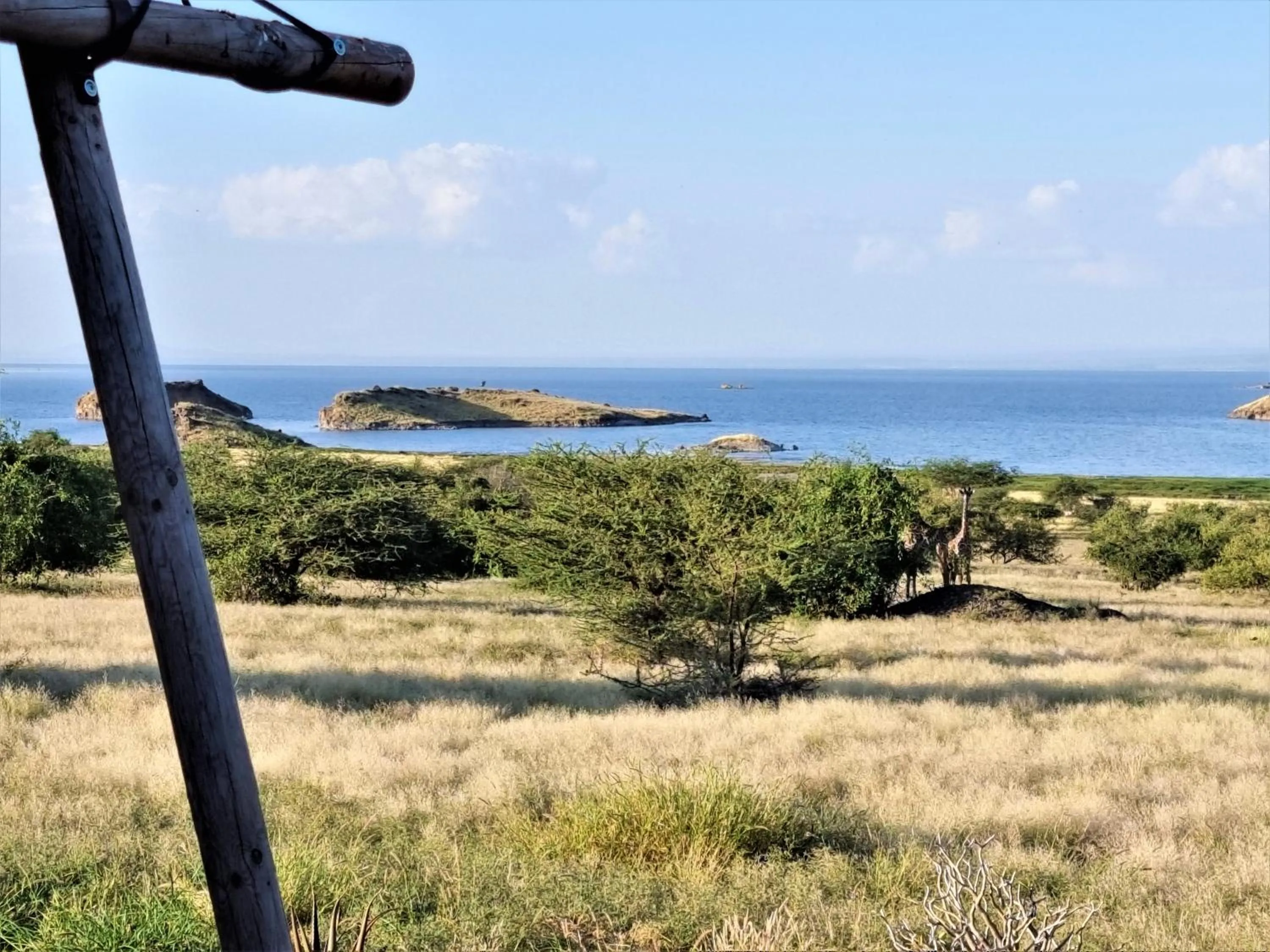 Lake view in Africa Safari Lake Natron
