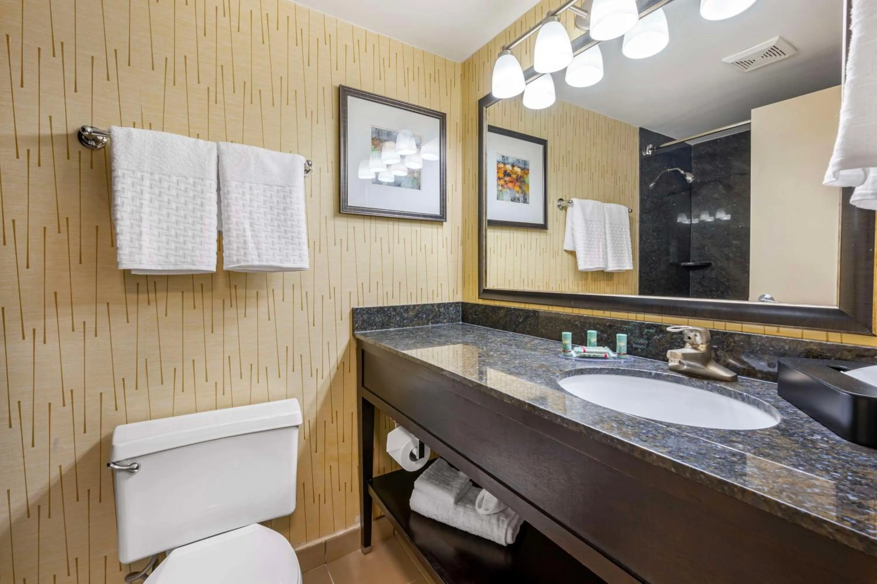 Bathroom in Best Western Chicago - Downers Grove