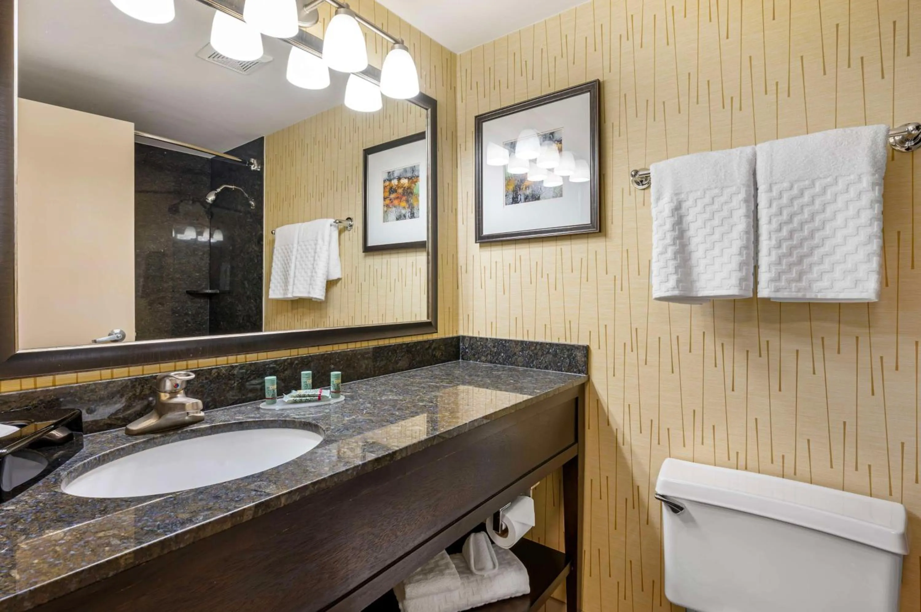 Bathroom in Best Western Chicago - Downers Grove