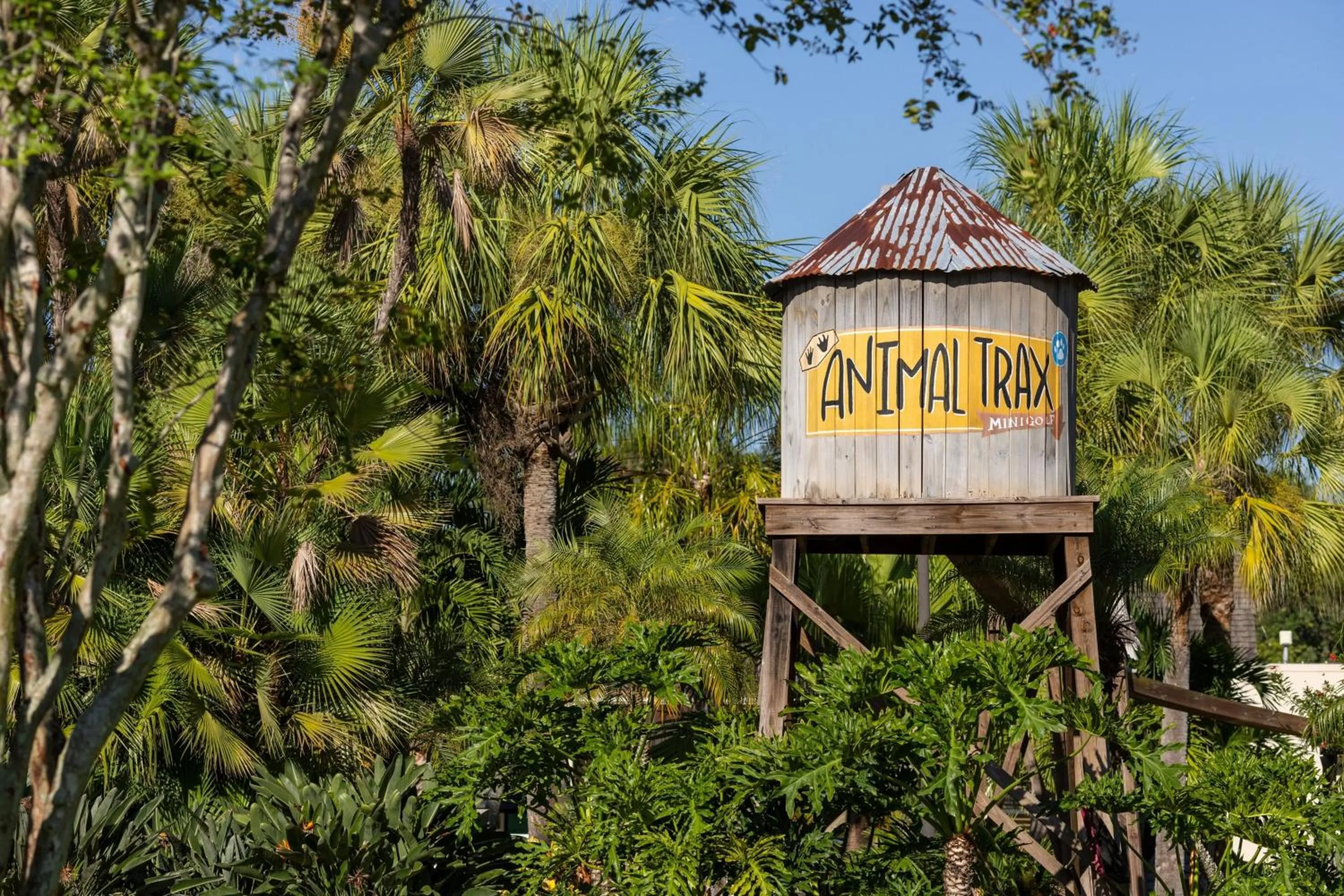 Other in Sheraton Vistana Resort Villas, Lake Buena Vista Orlando