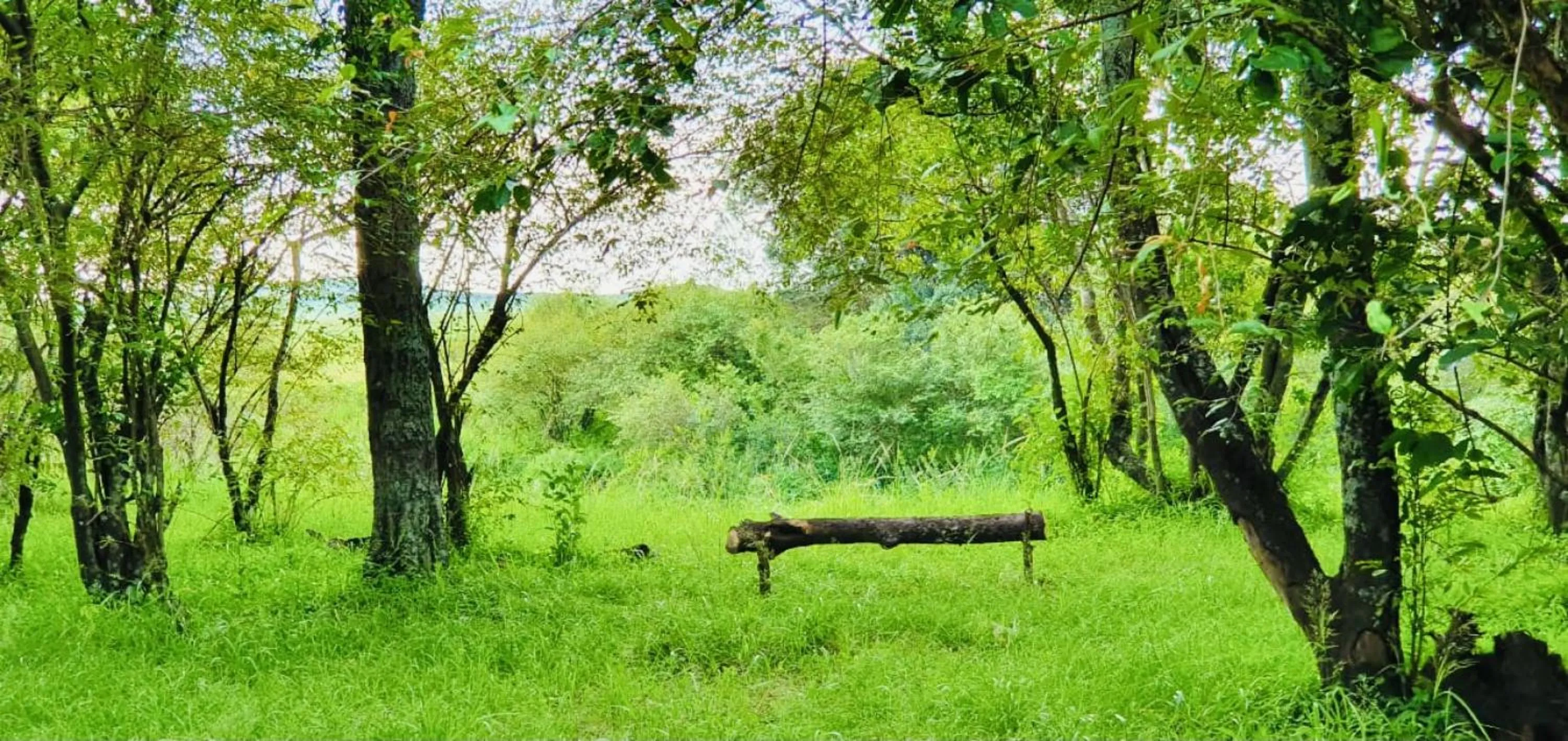 Natural landscape in Lorian safari camp limited