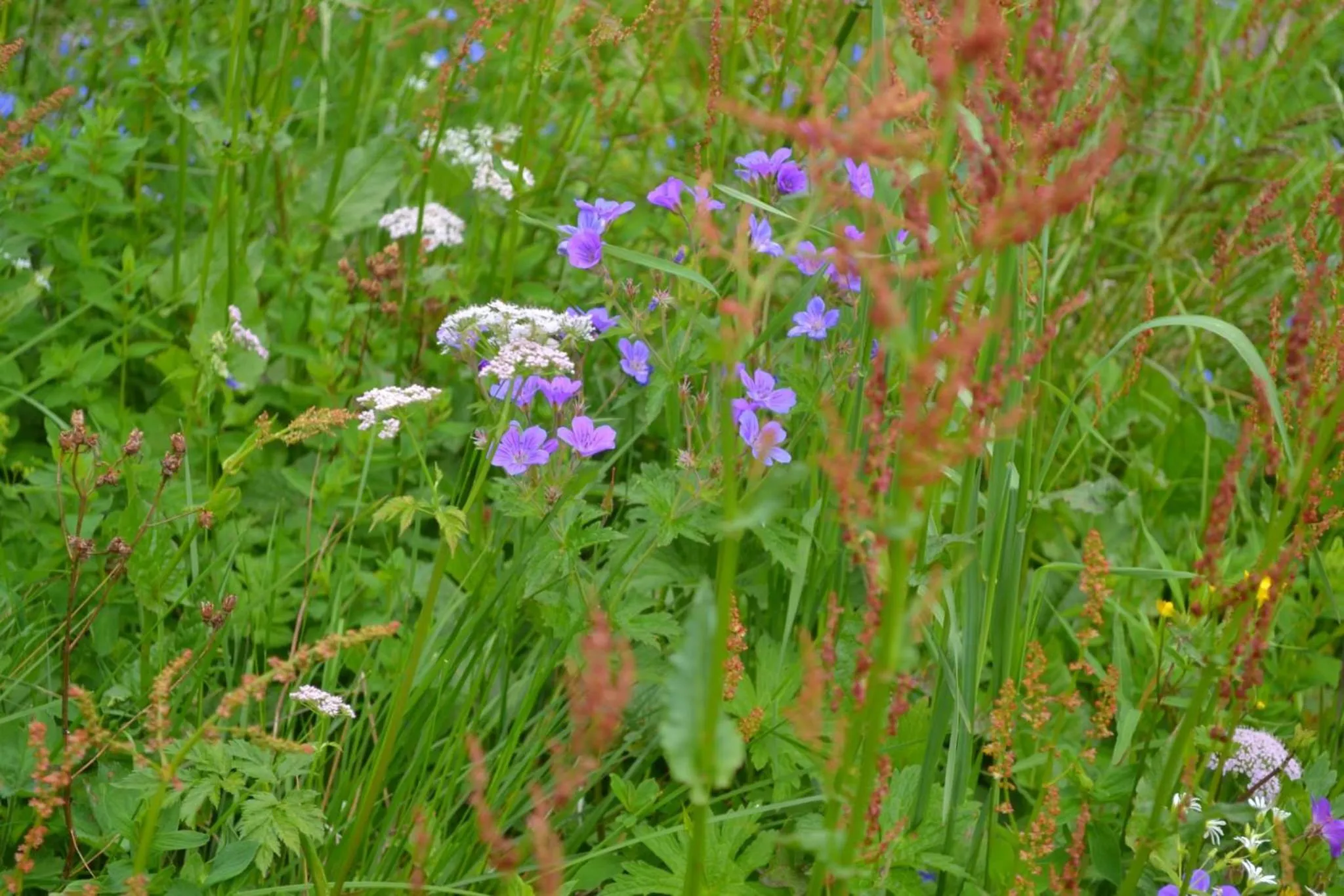 Apartmán Bella Donovaly v hotelovom komplexe