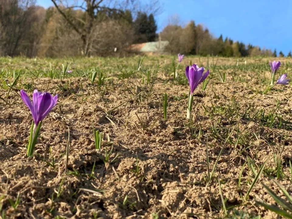 Apartmán Bella Donovaly v hotelovom komplexe