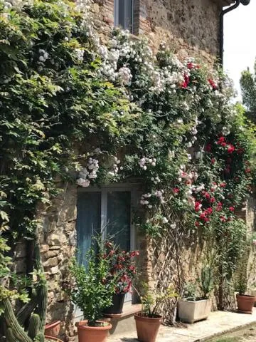 Bed And Breakfast Belvedere