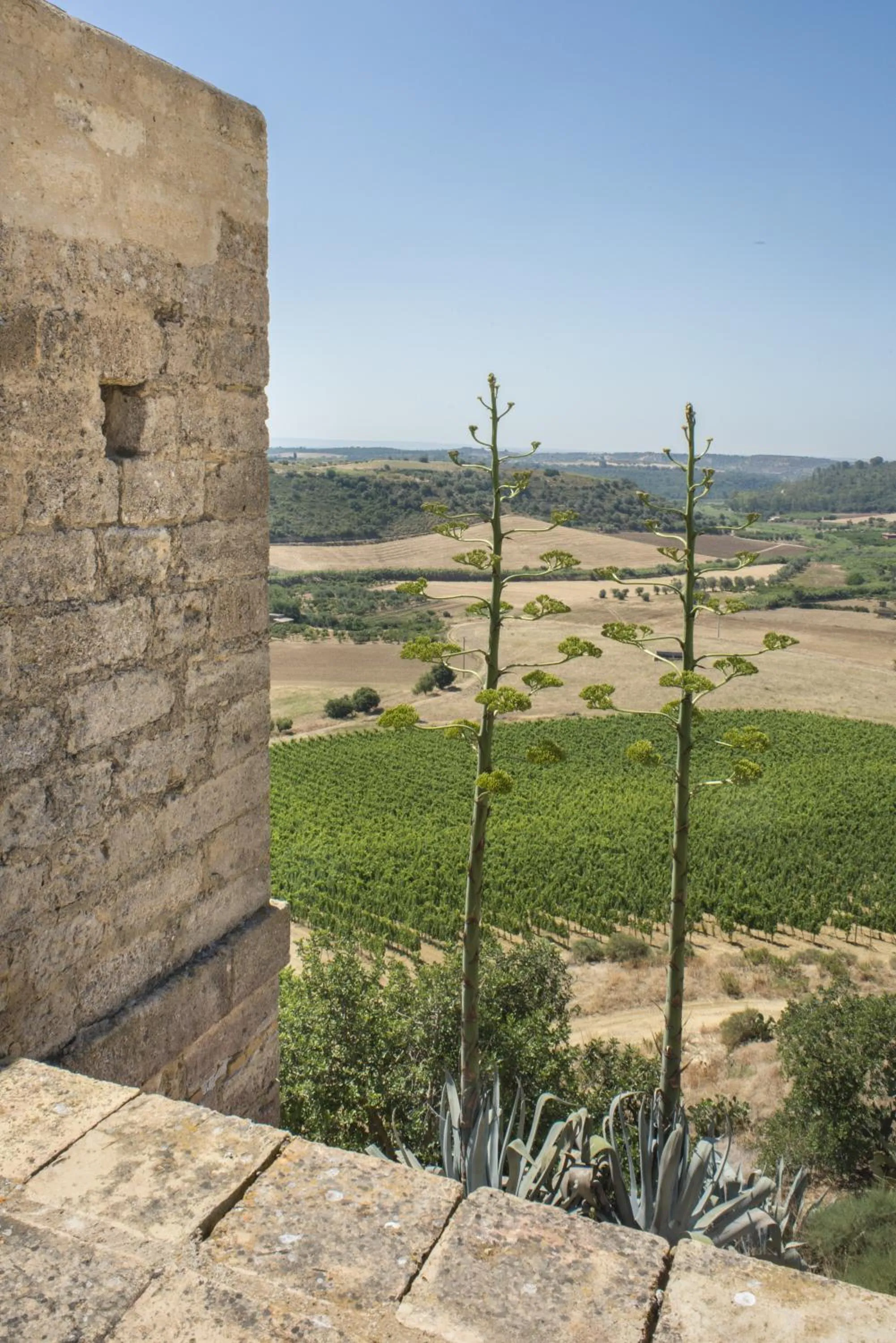 Day in Wine Relais Feudi Del Pisciotto