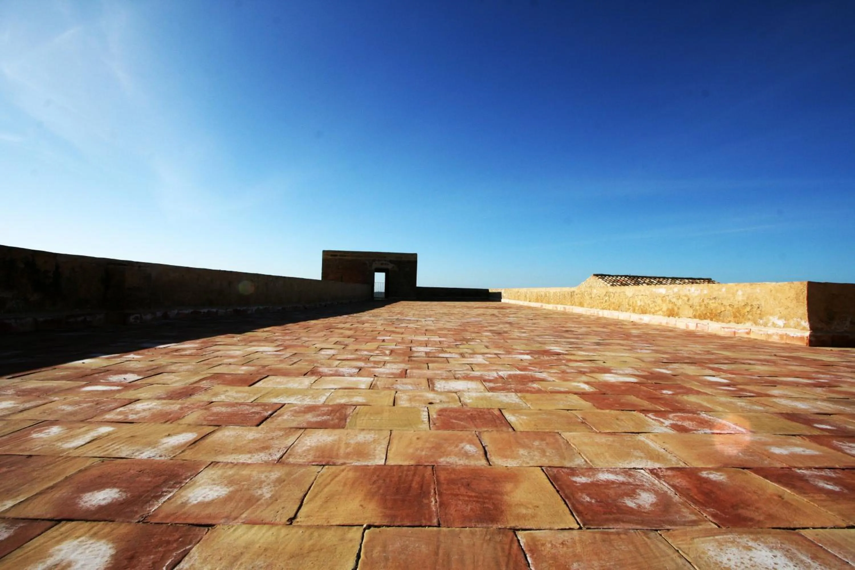 Day in Wine Relais Feudi Del Pisciotto