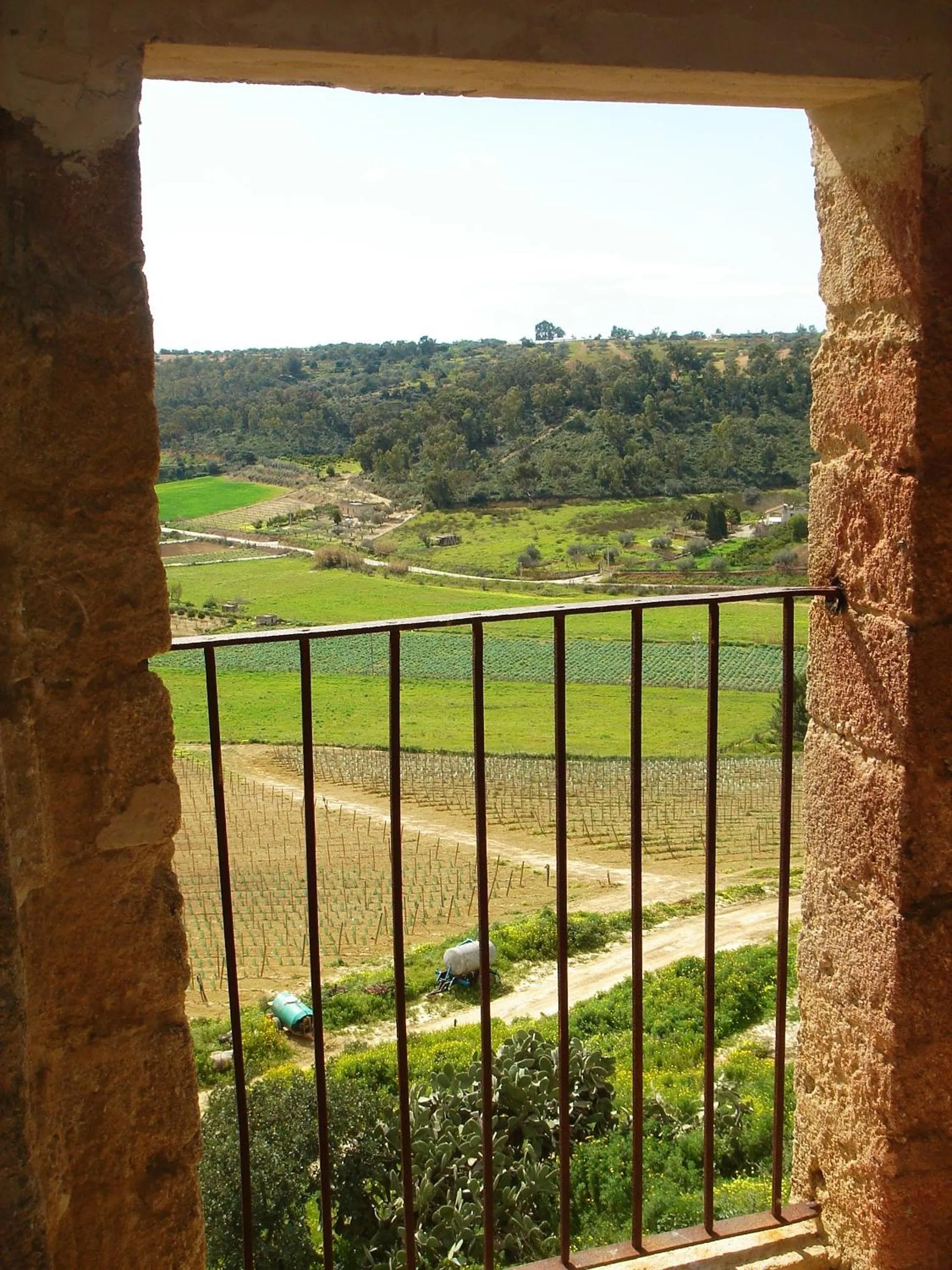 Day in Wine Relais Feudi Del Pisciotto