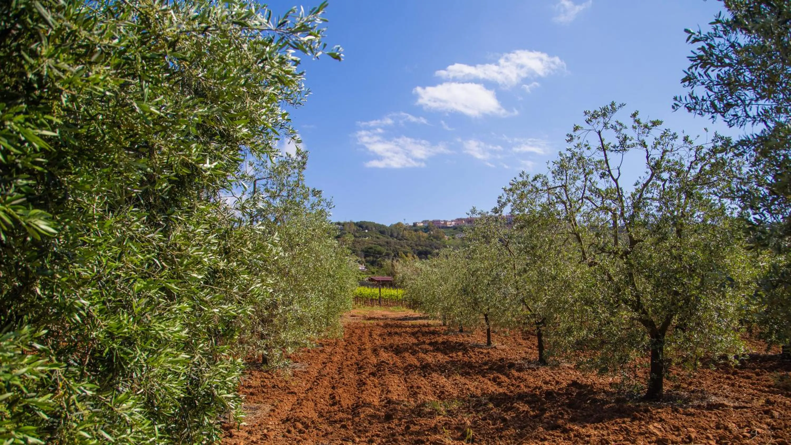 Day in Country Hotel Residence Da Pilade