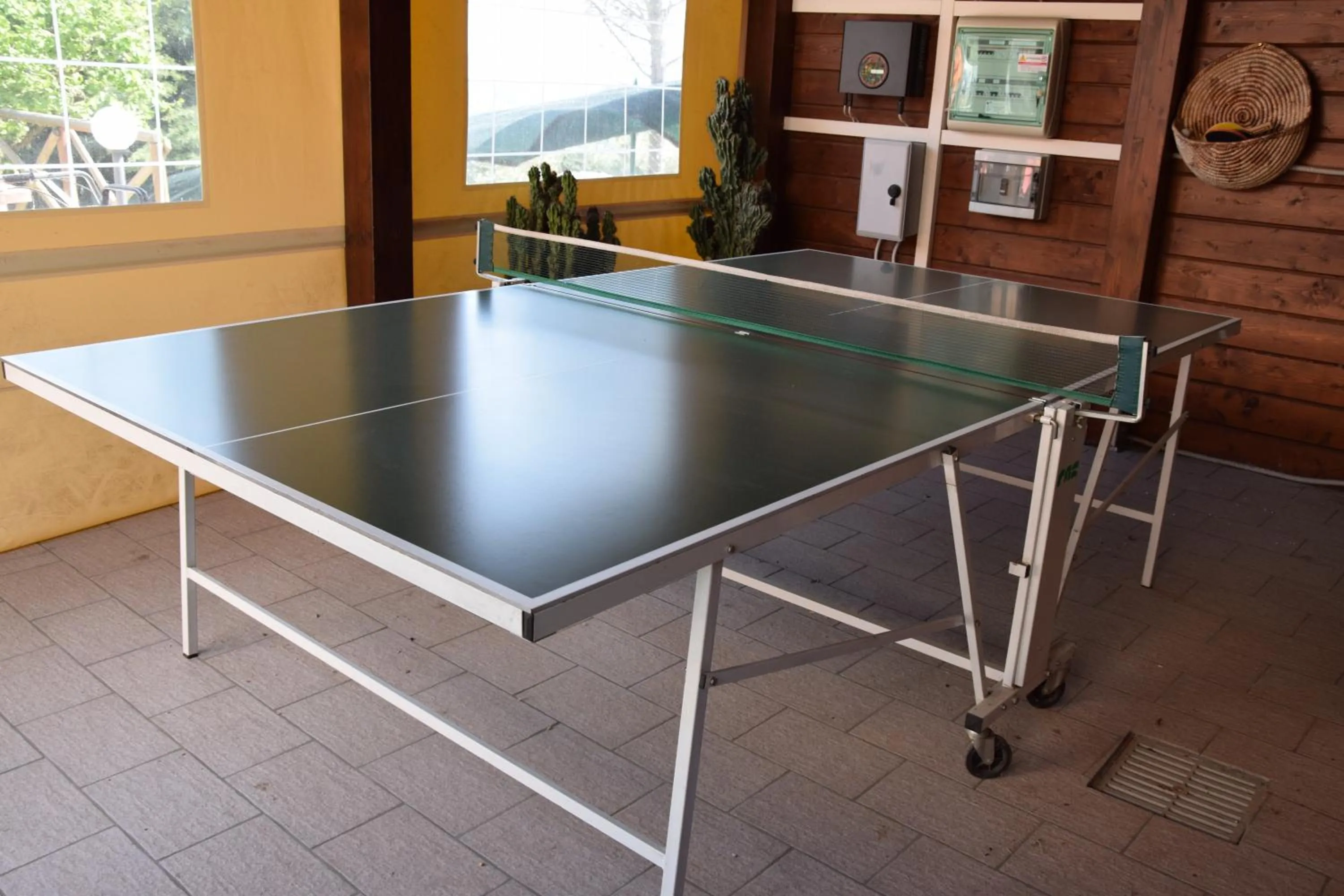 Table tennis in B&B Le Terrazze