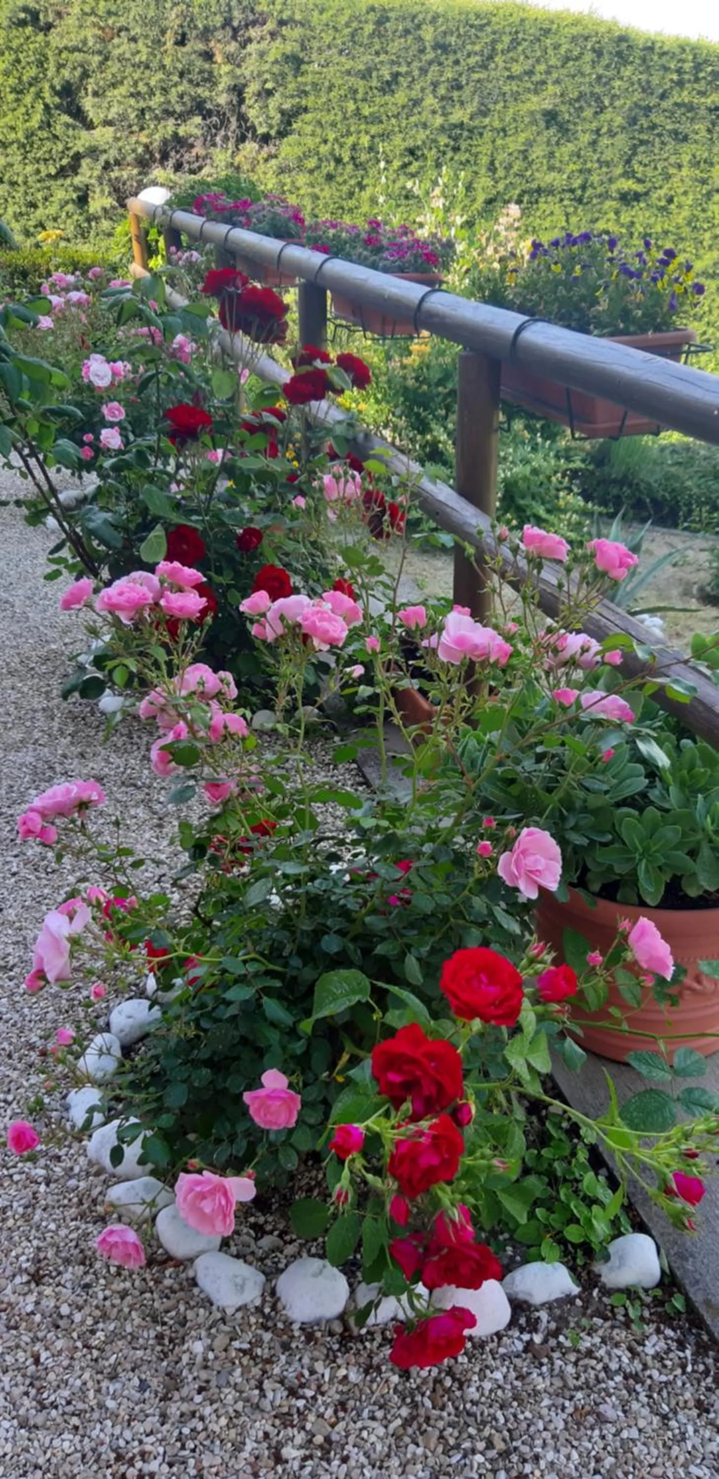 Garden in B&B Le Terrazze