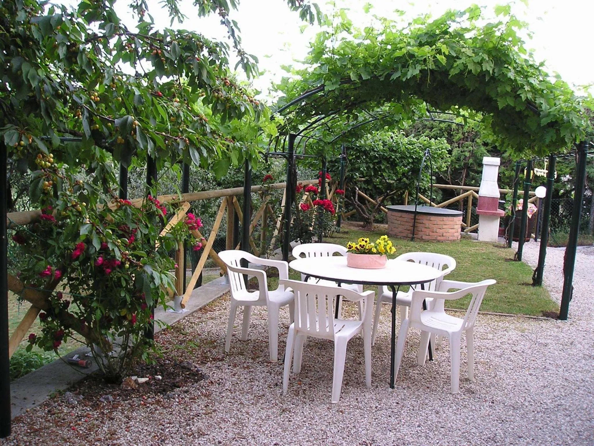 Garden in B&B Le Terrazze
