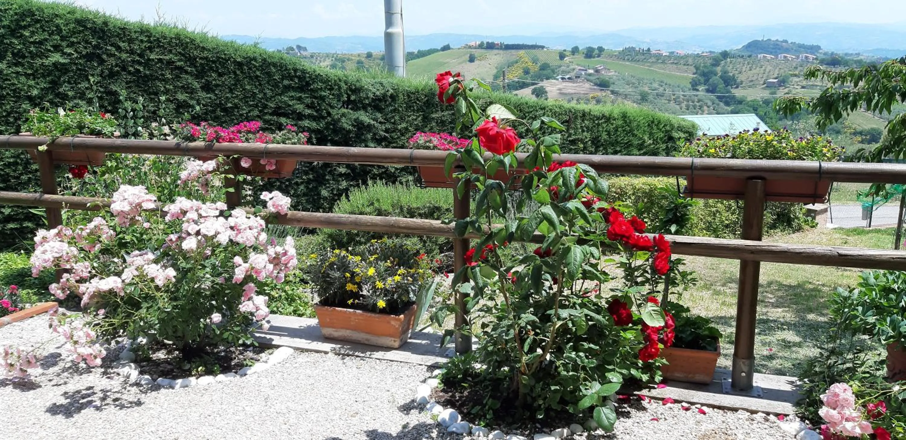 Garden in B&B Le Terrazze