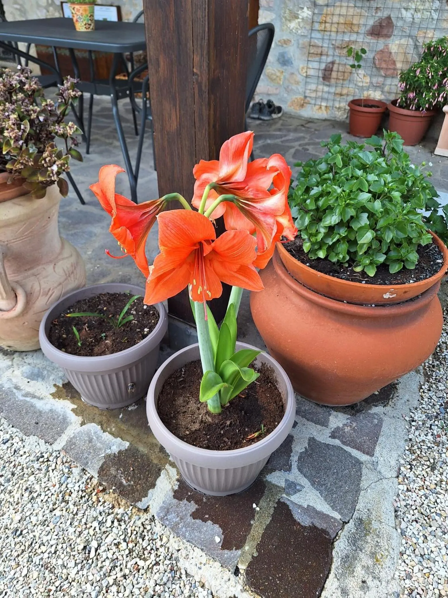 Property building in B&B Le Terrazze