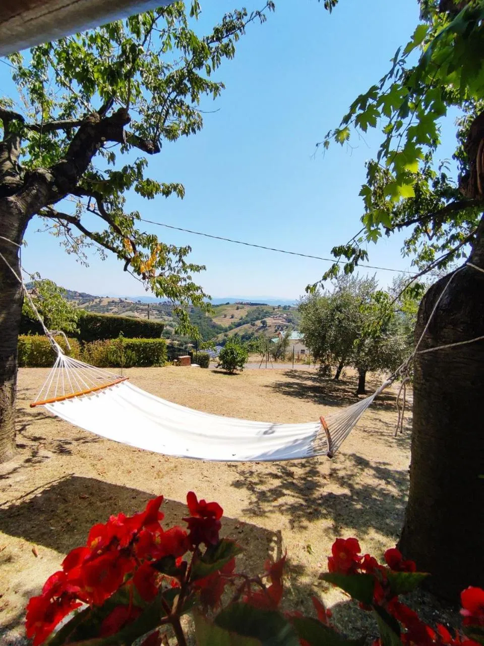 Garden in B&B Le Terrazze