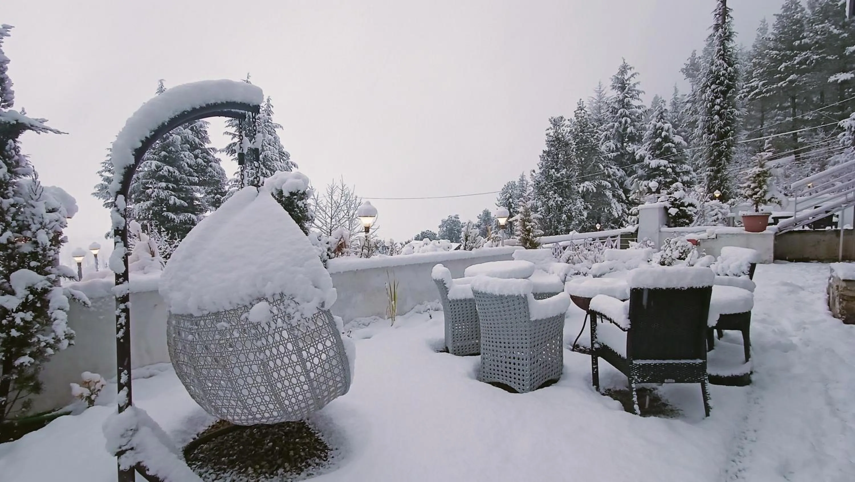 Winter in Baan by Snow City Farm