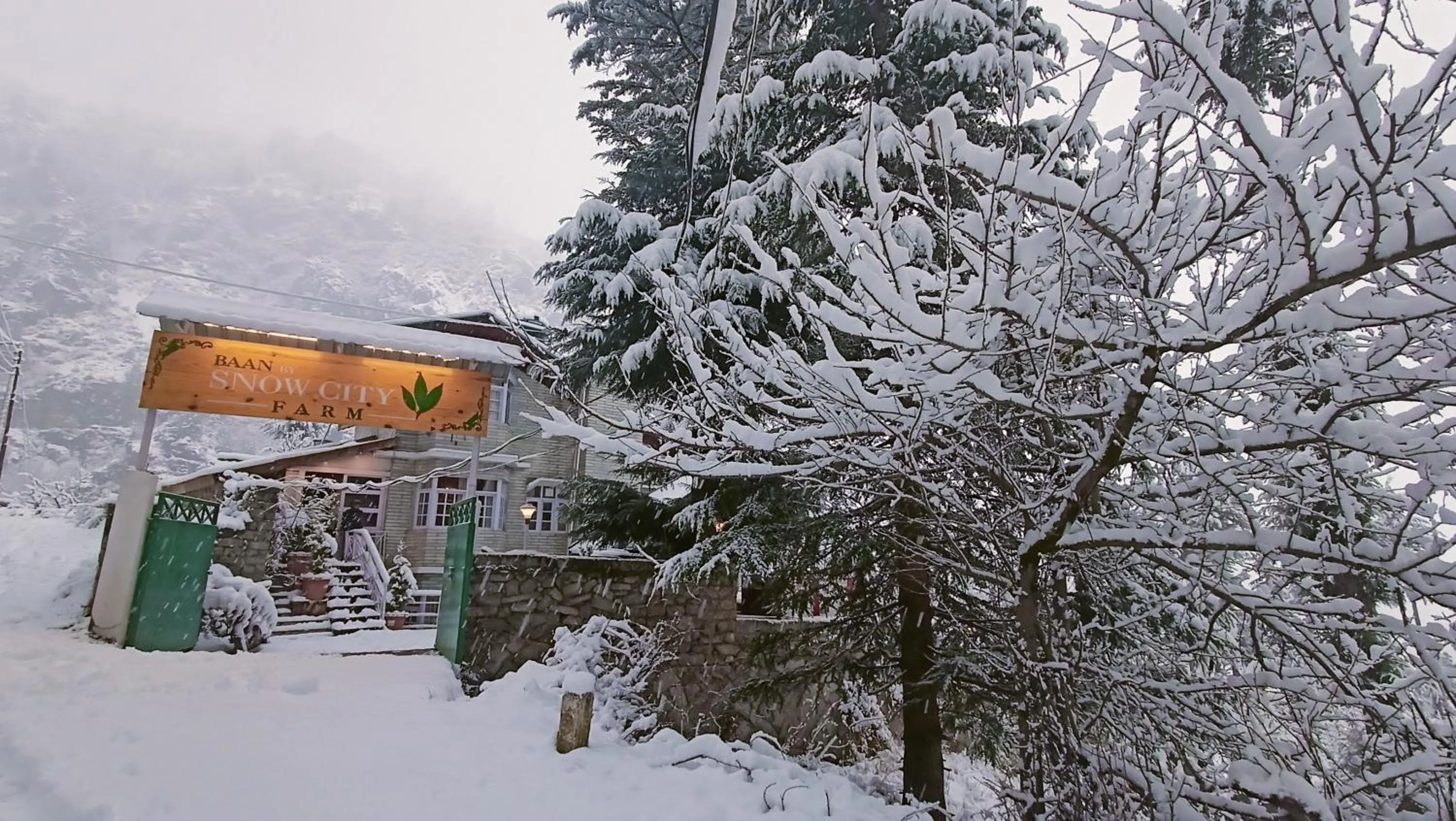 Day in Baan by Snow City Farm