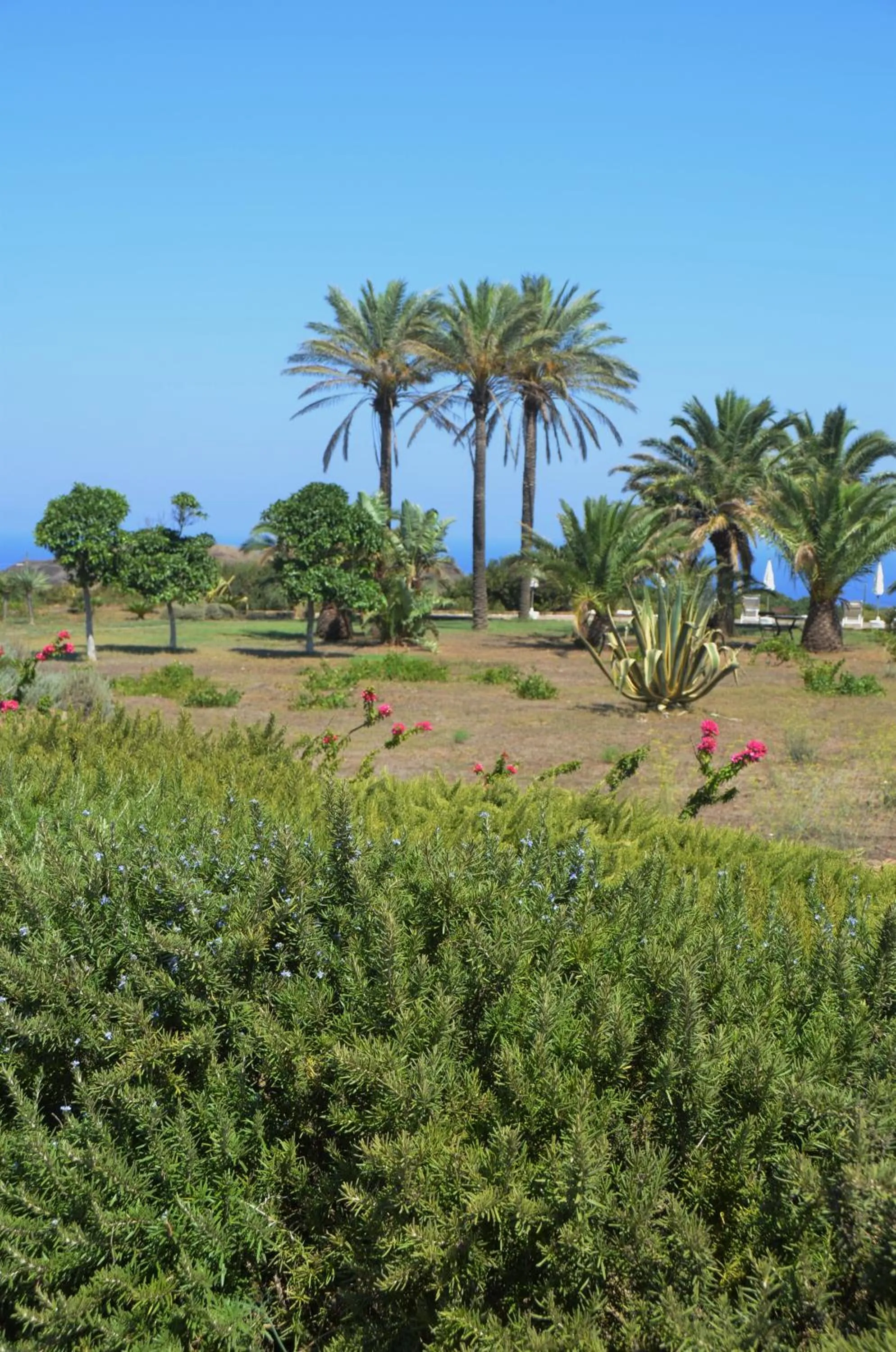 Garden view in Zubebi