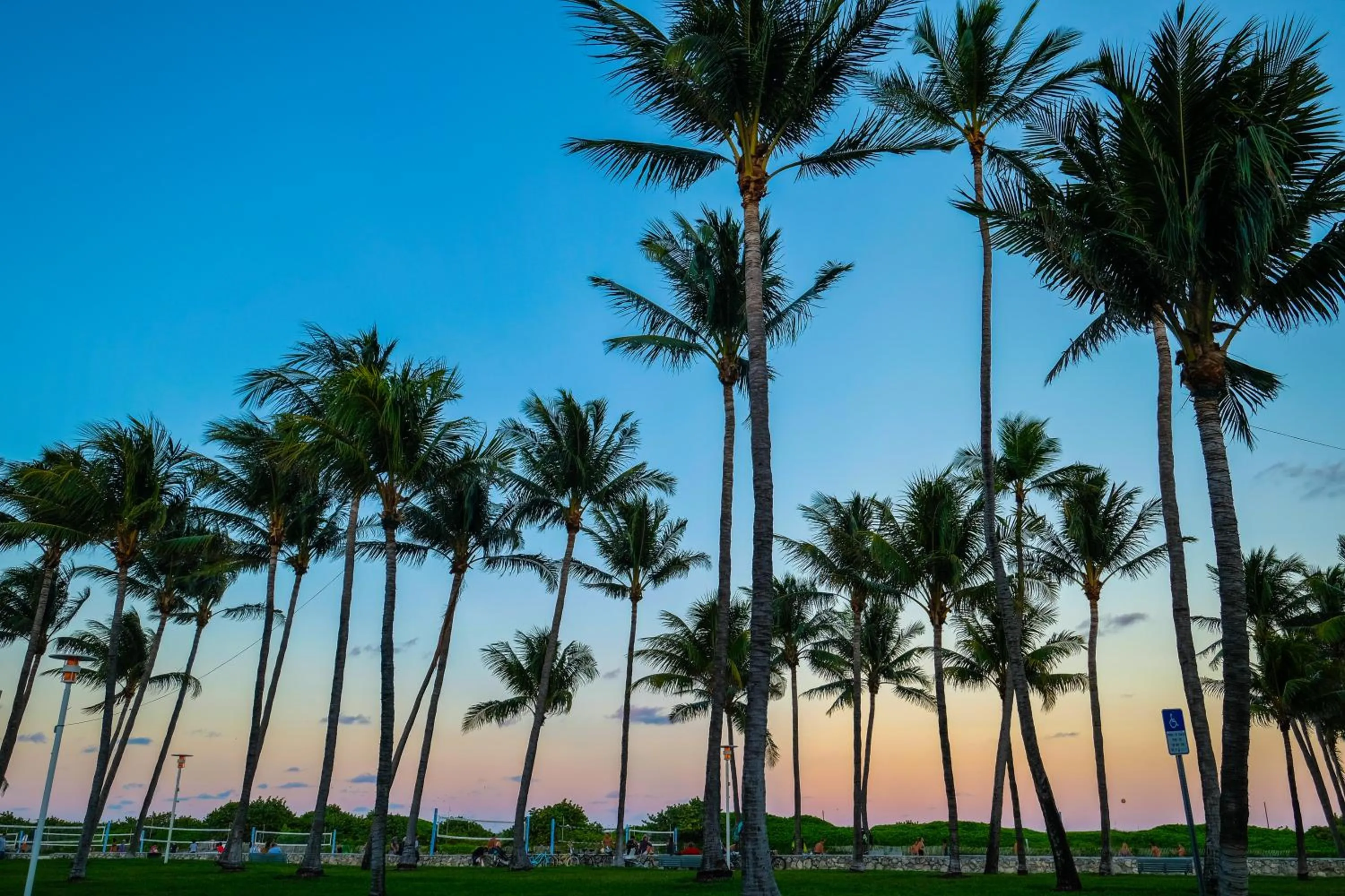 Street view in Avalon Hotel