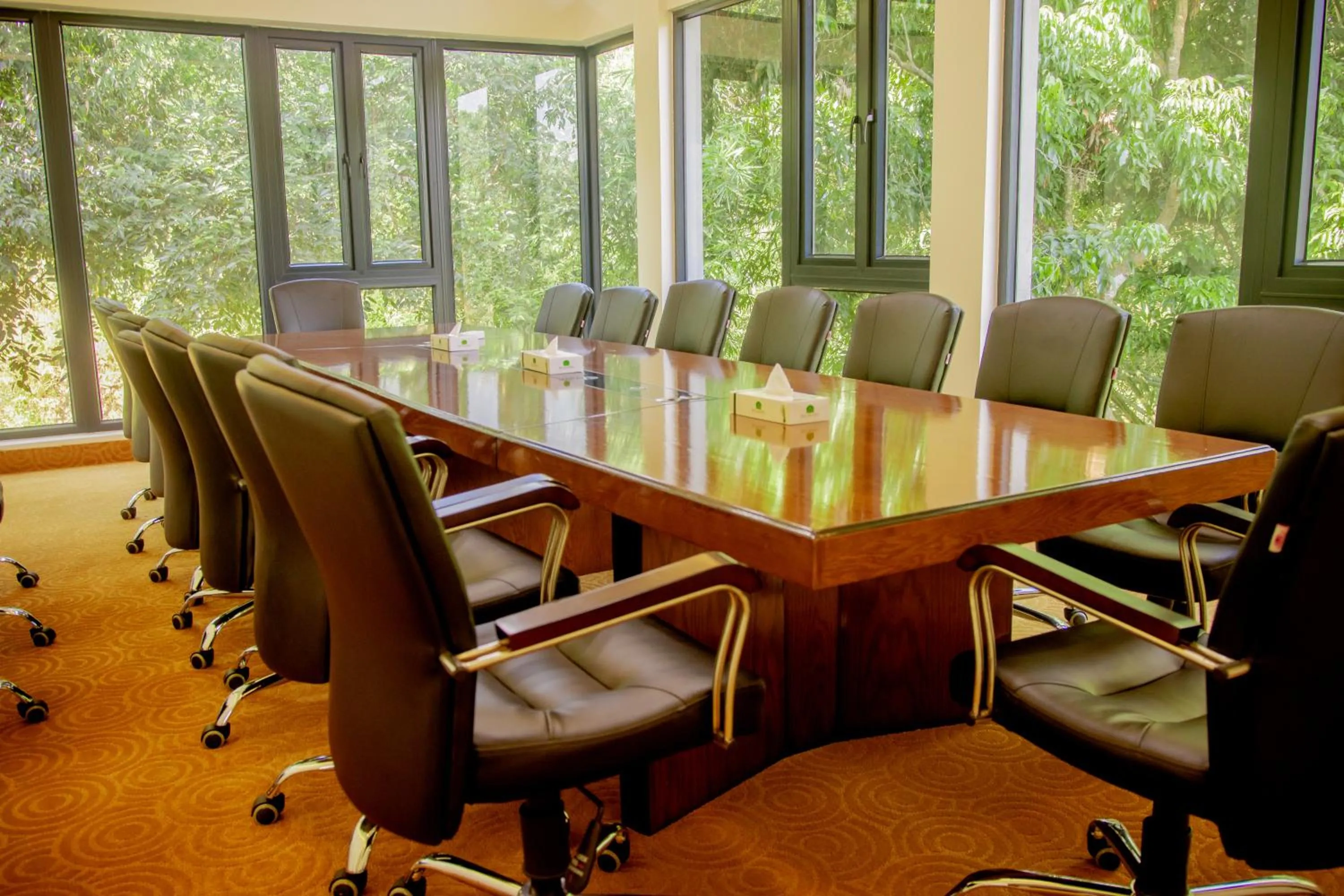 Meeting/conference room in Balishira Resort Ltd.